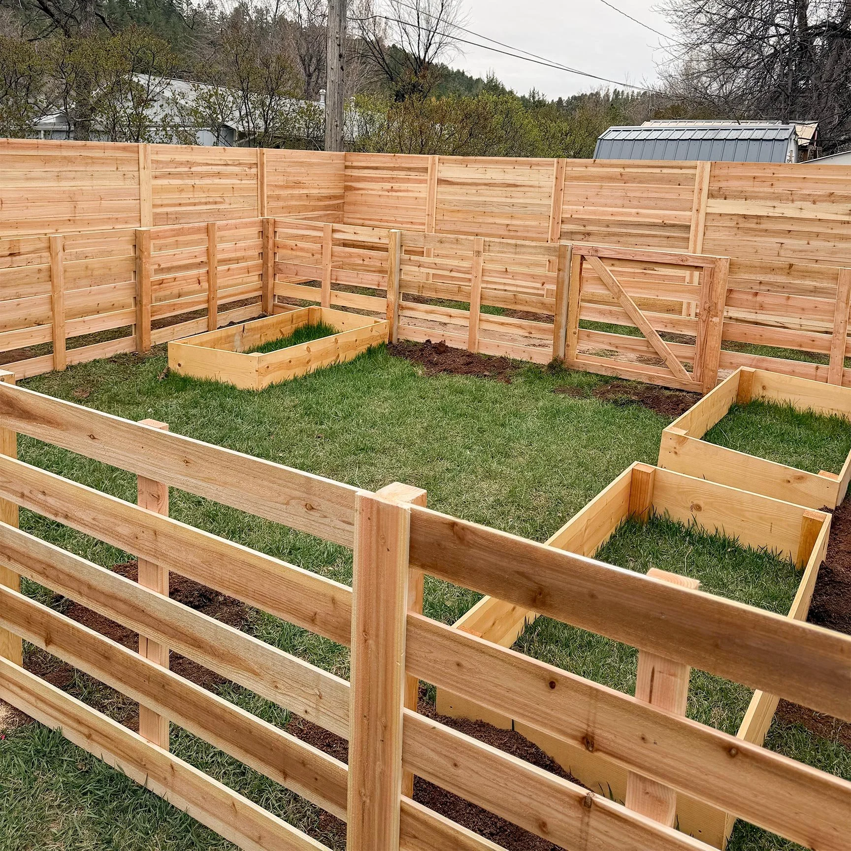 A backyard with green grass, wooden garden beds, and a newly built wooden privacy fence.