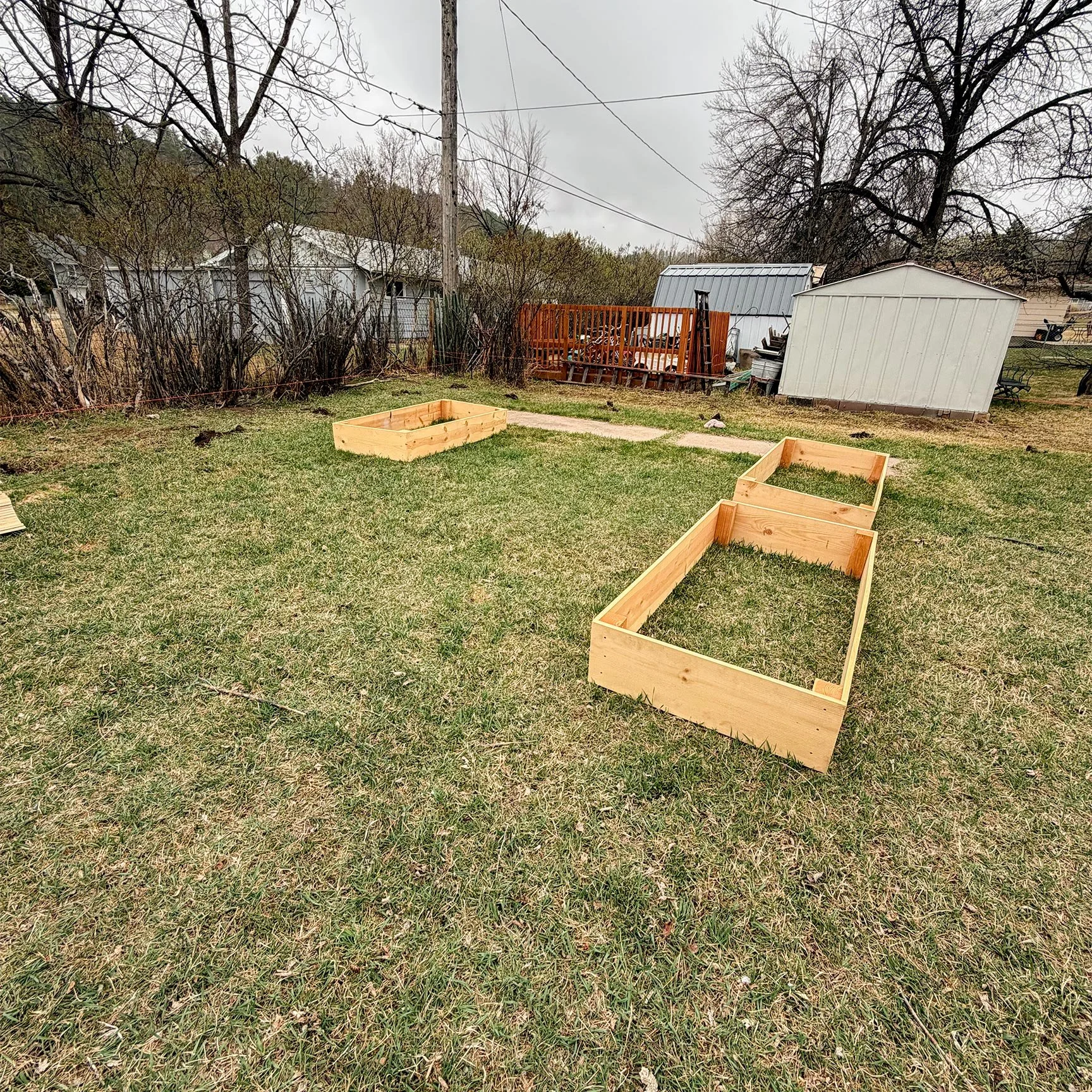 Backyard with two unfinished wooden raised garden beds, lawn, trees, a shed, a small deck, and a utility pole with wires.