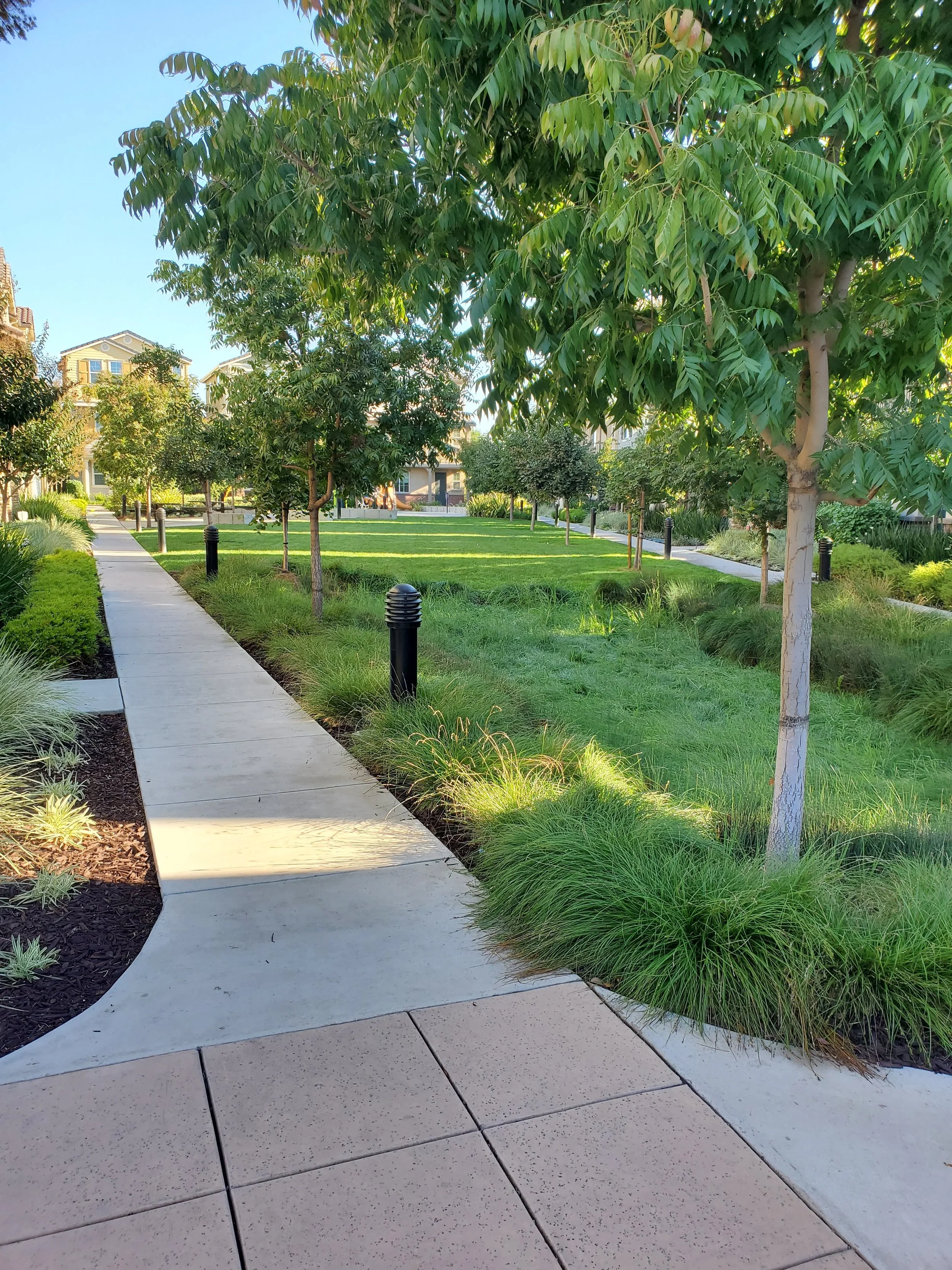 A paved sidewalk runs through a green park with trees, grass, and shrubs, with residential buildings in the background.