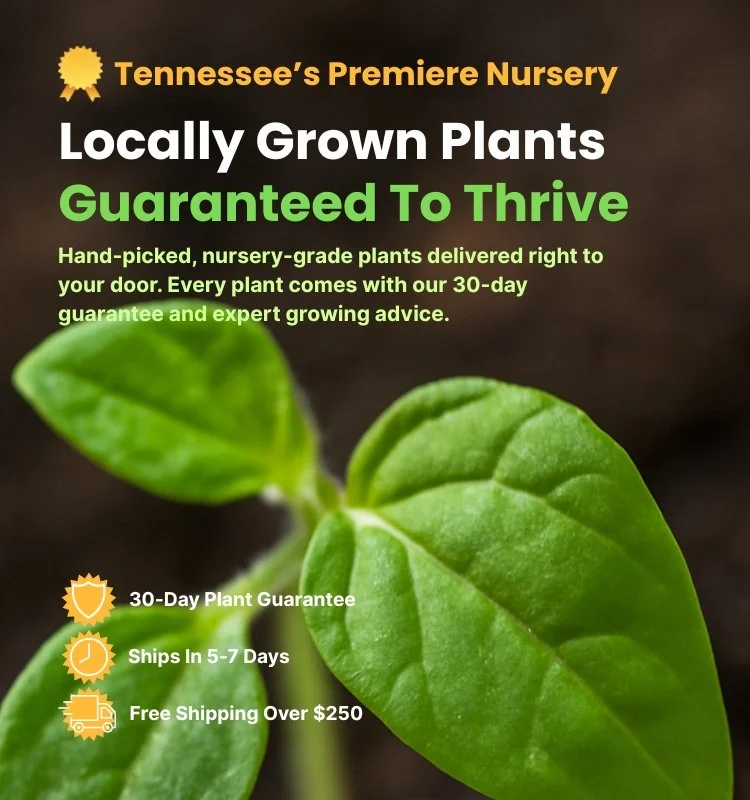 Close-up of a green plant leaf, promotional text for Tennessee's Premiere Nursery highlighting locally grown, guaranteed to thrive plants with a 30-day guarantee, ships within 5-7 days, free shipping over $250.