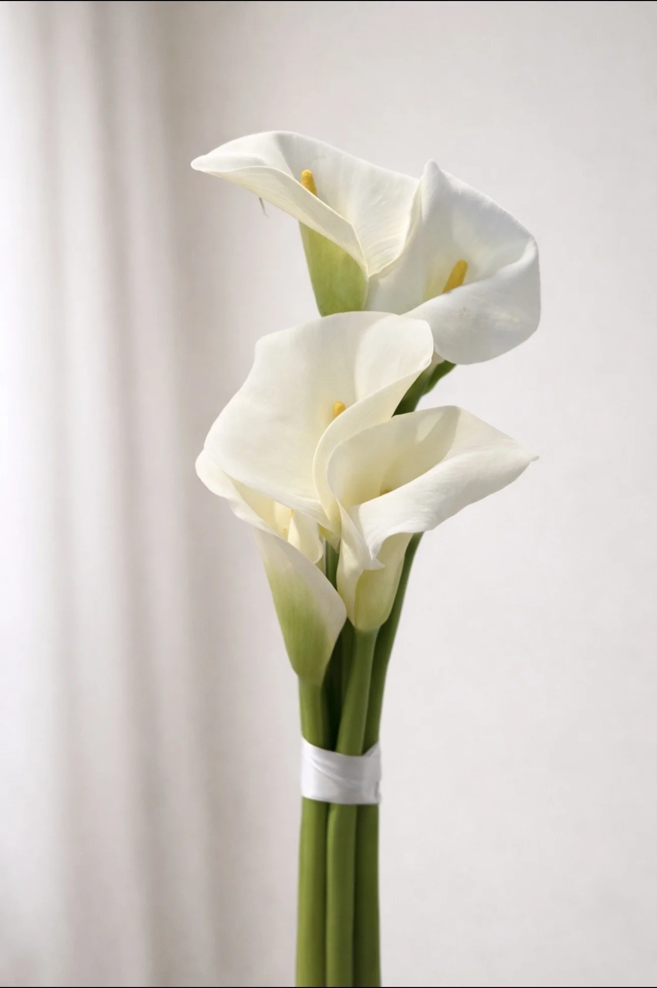 calla.jpg