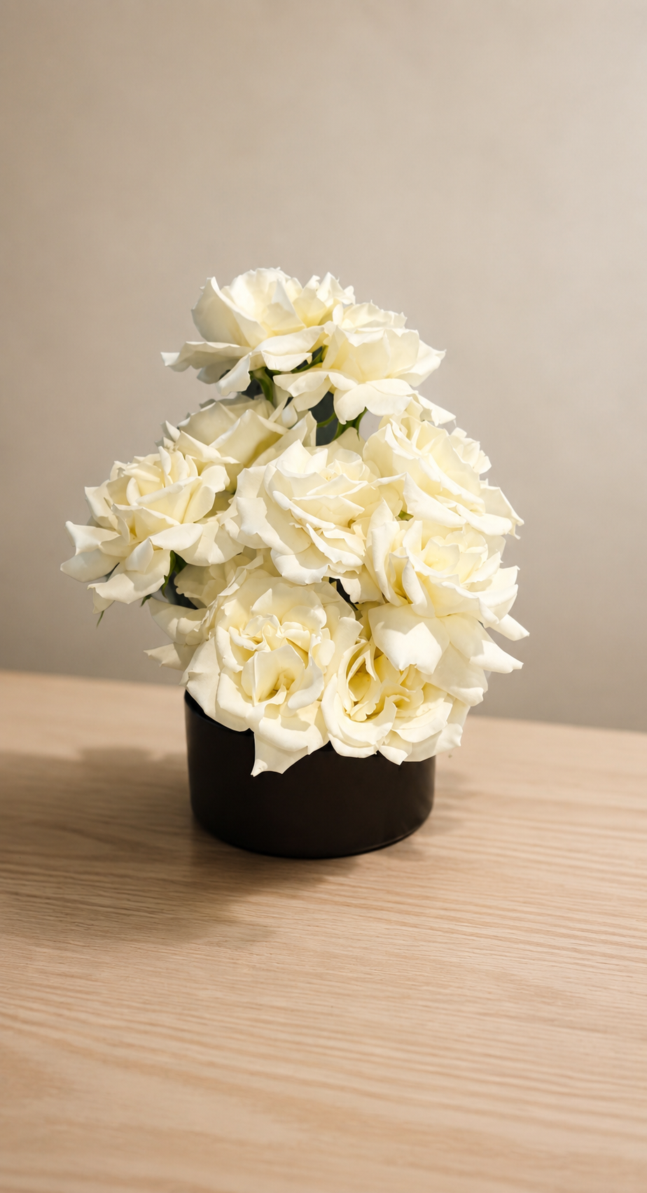 Roses.PNG