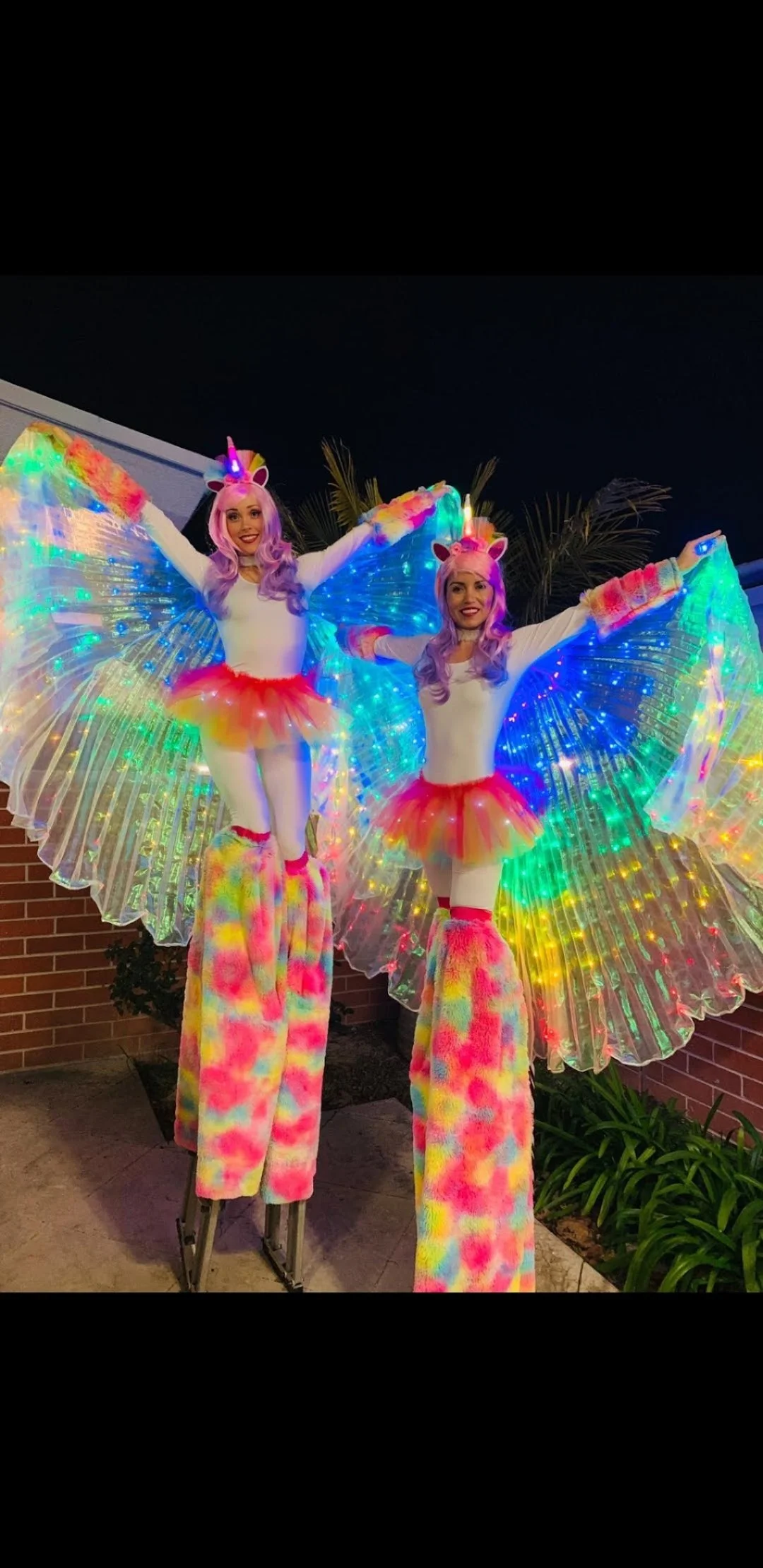 Fairies and Fantastical