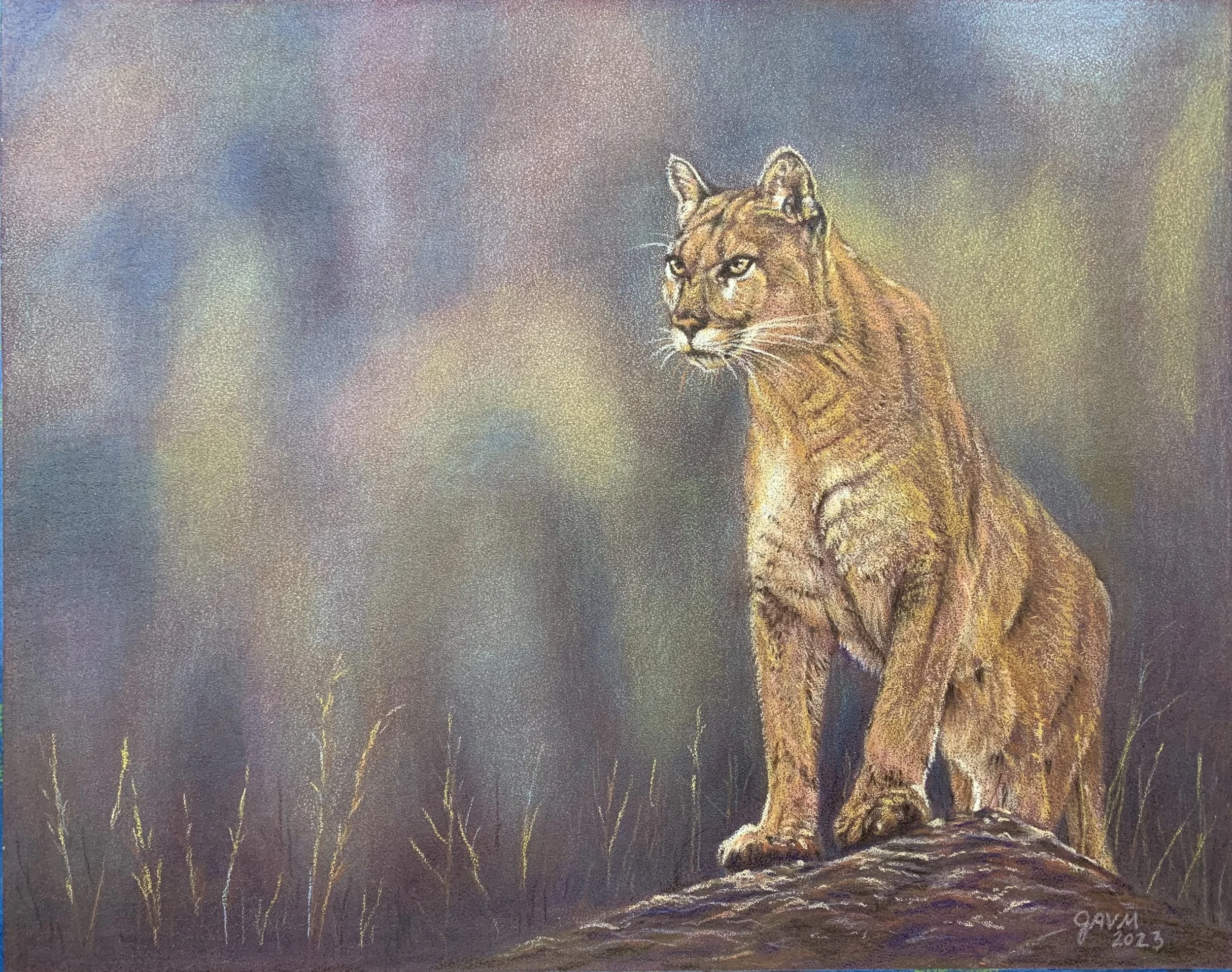 Majestic Cougar