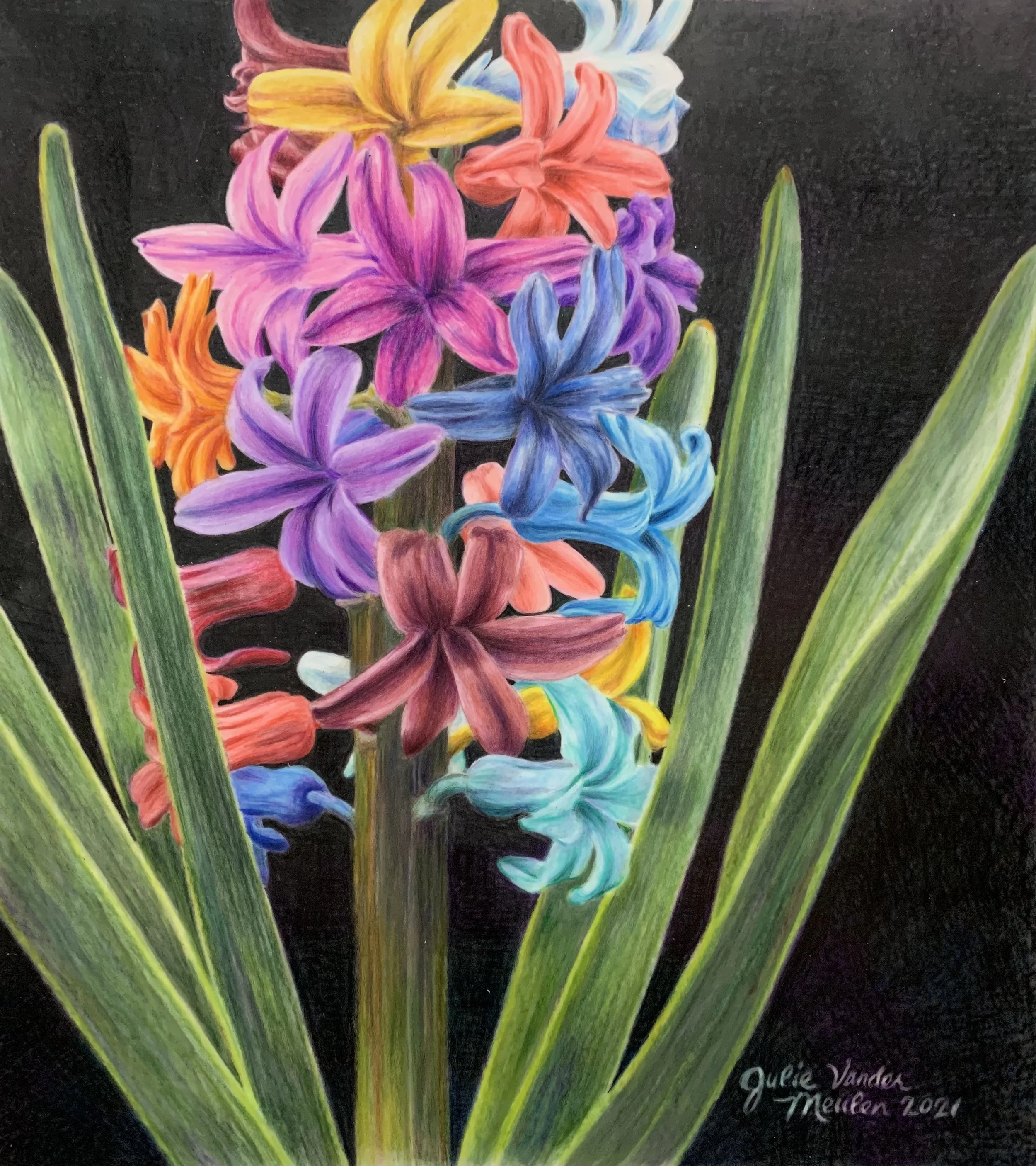 Fantasy Hyacinth