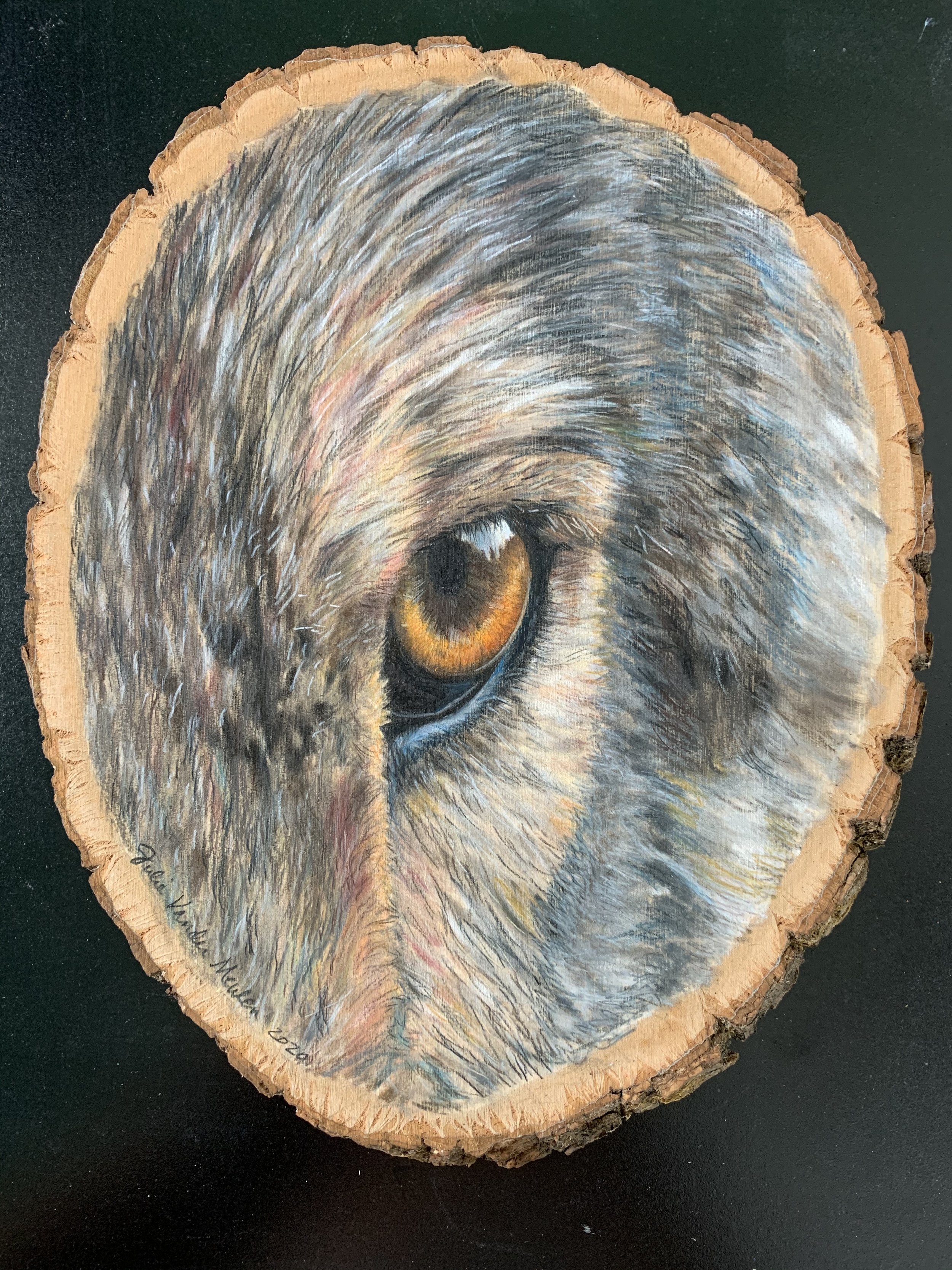 Eye of the Wolf