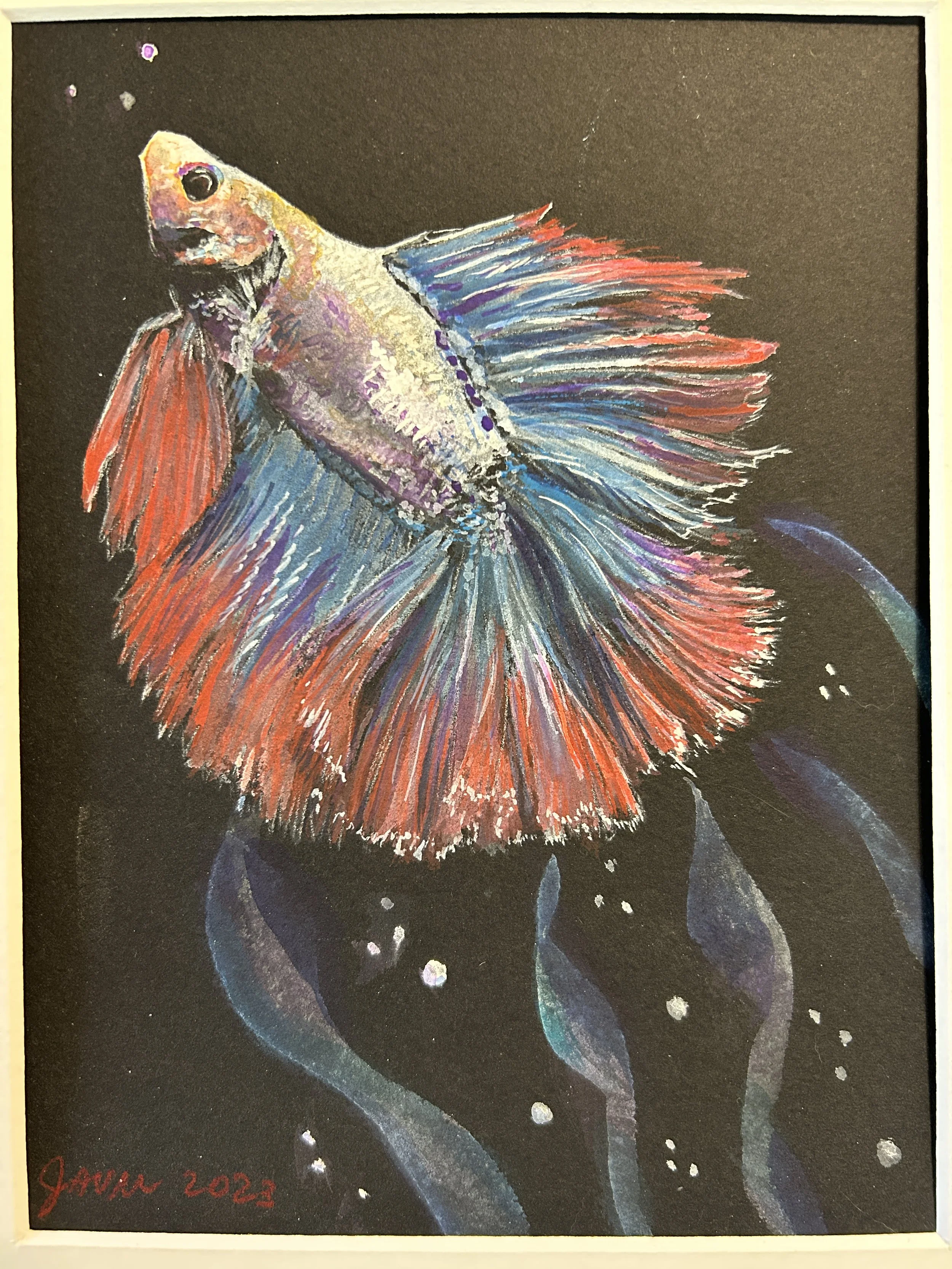 Flurry of FIns