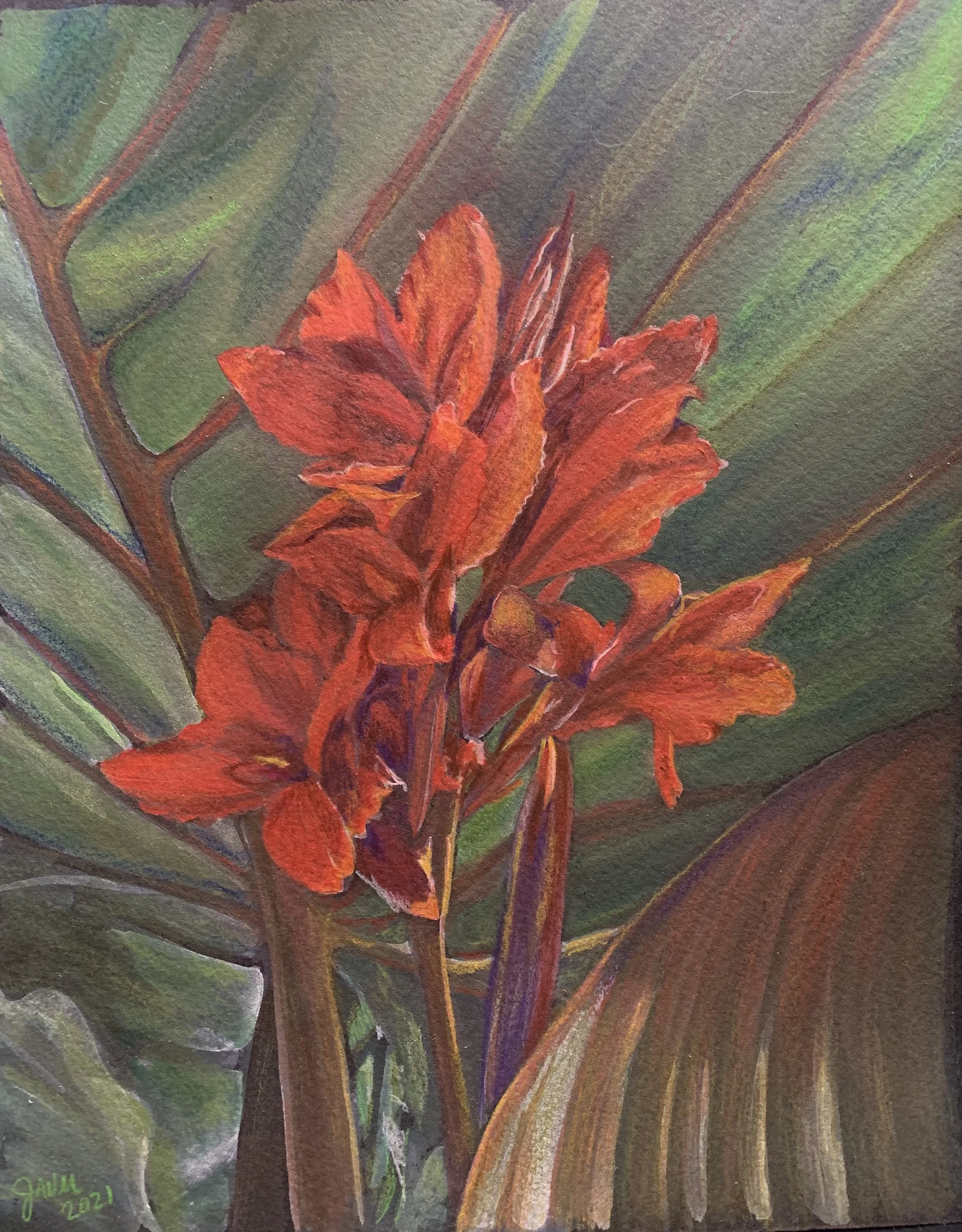 Red Canna Lilies