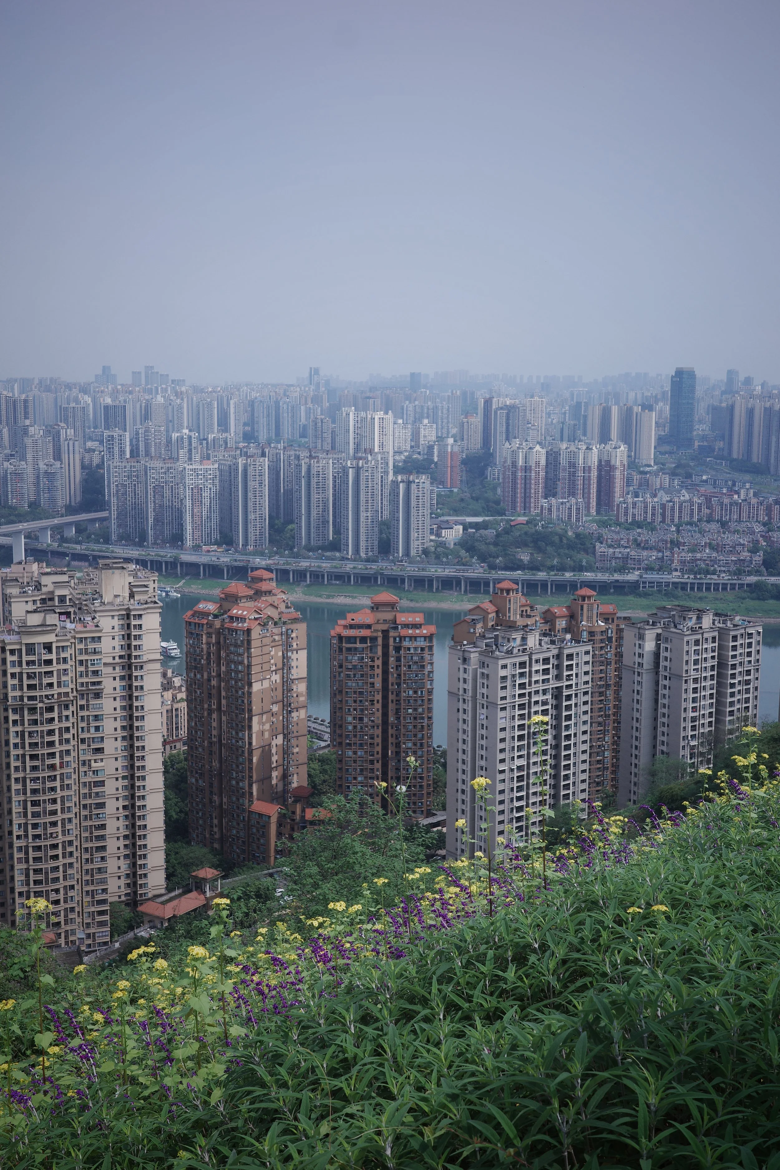 Chongqing Panoramic View