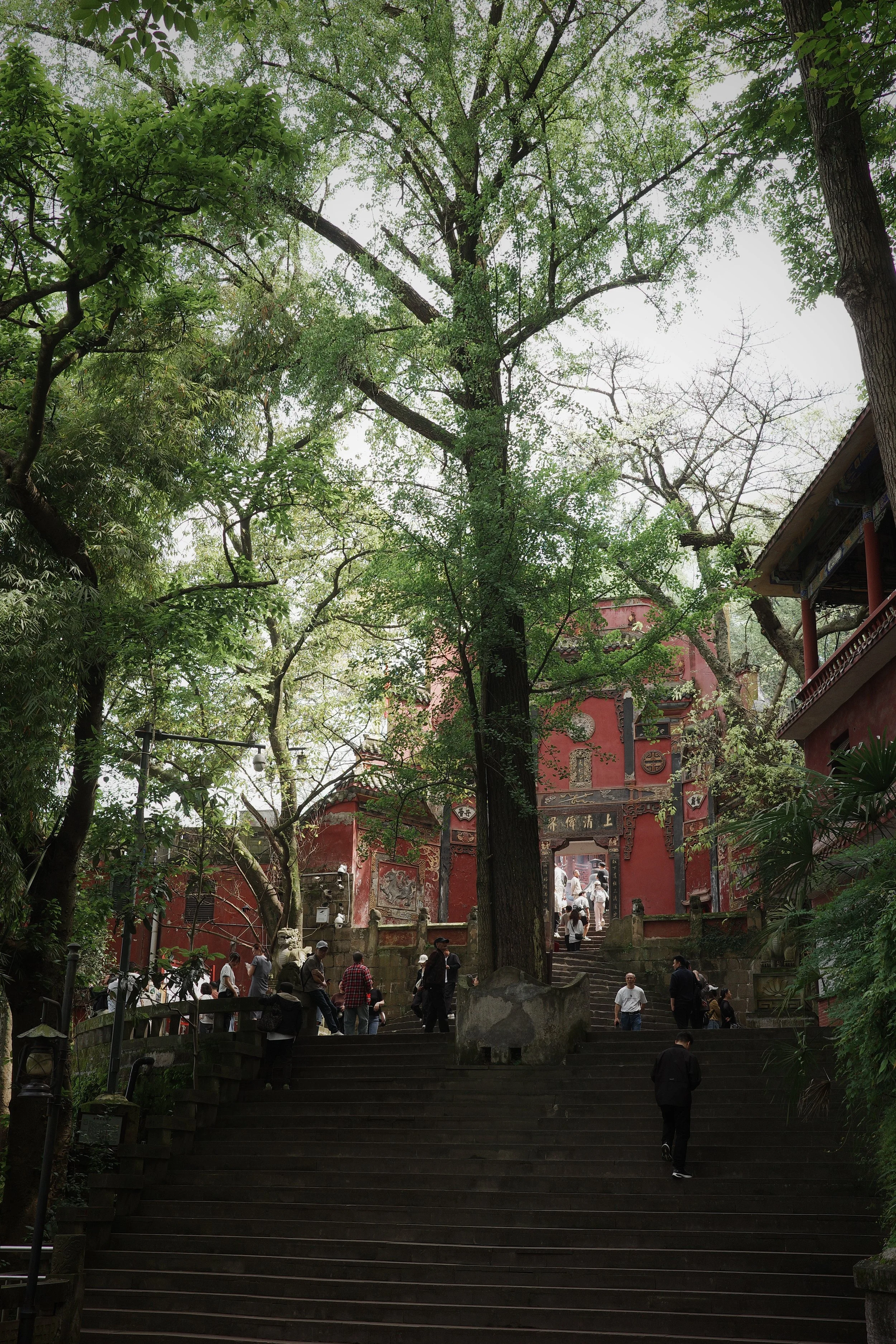 R0007913.JPG