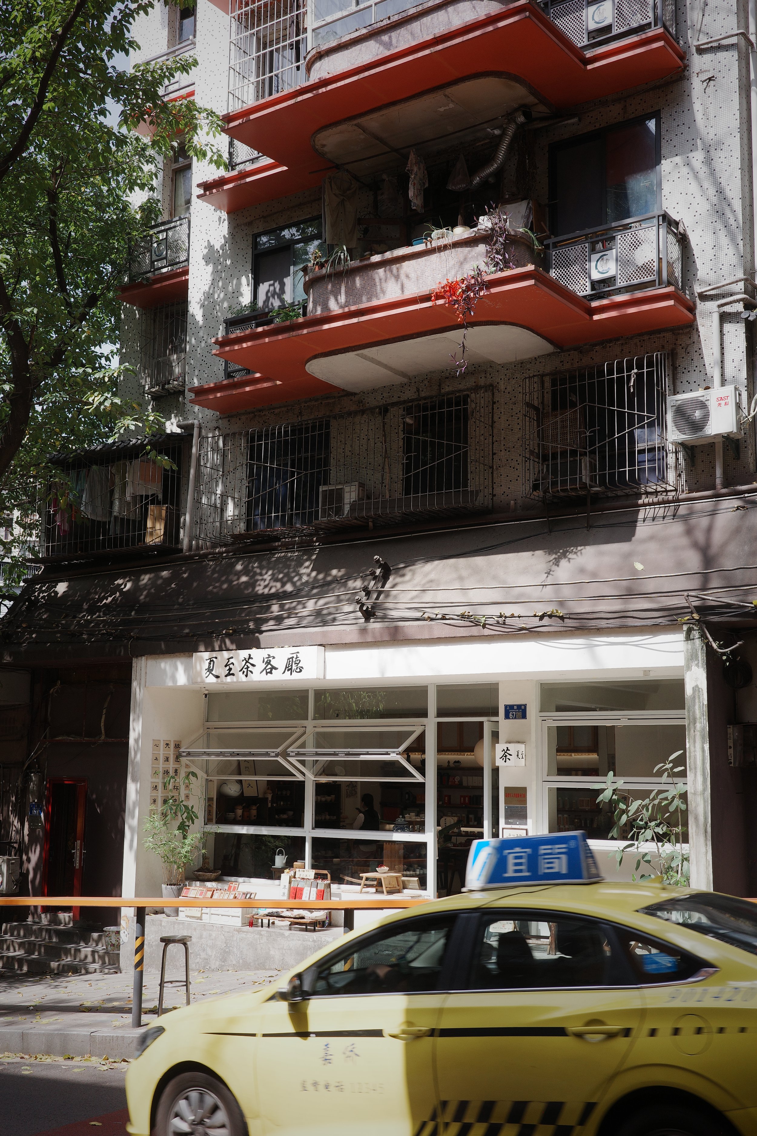 R0008019.JPG