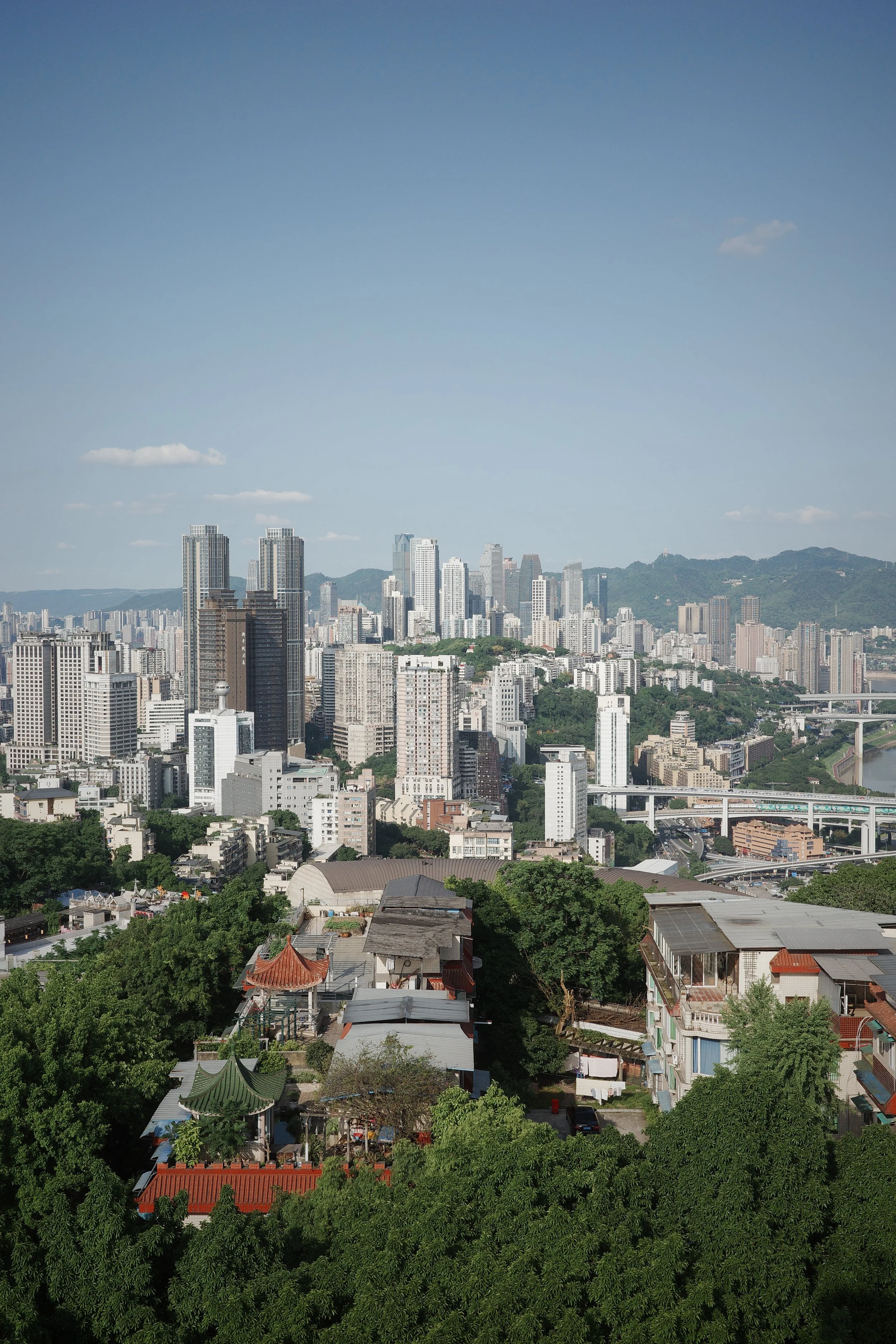 R0008940.JPG
