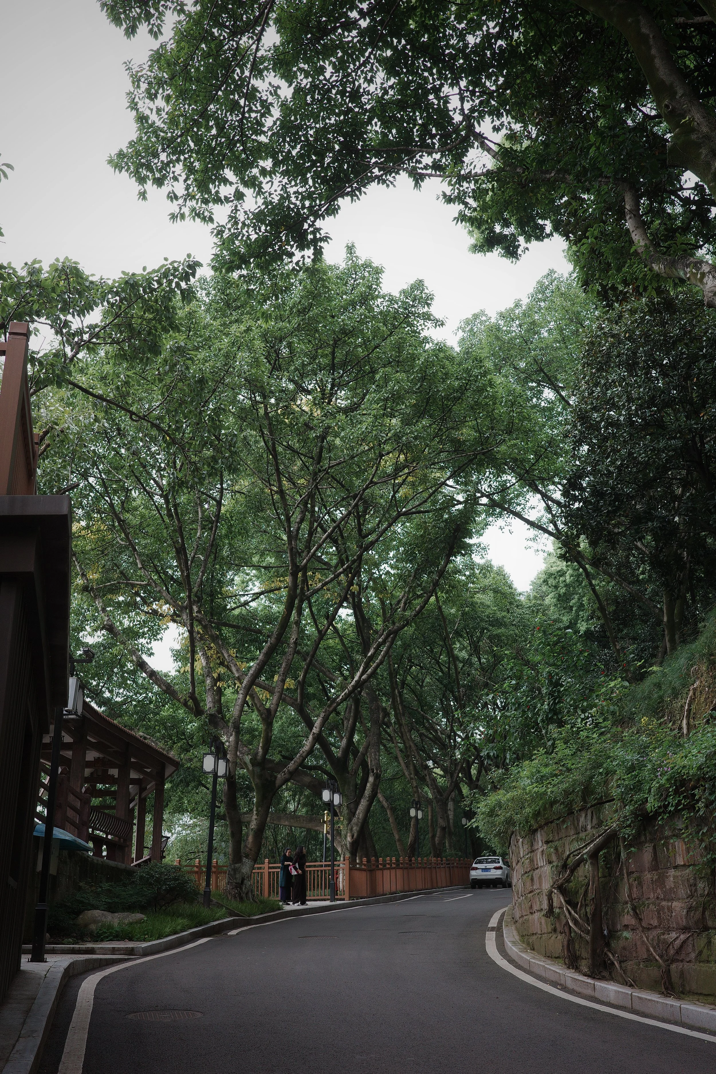 Pipashan Park in Chongqing