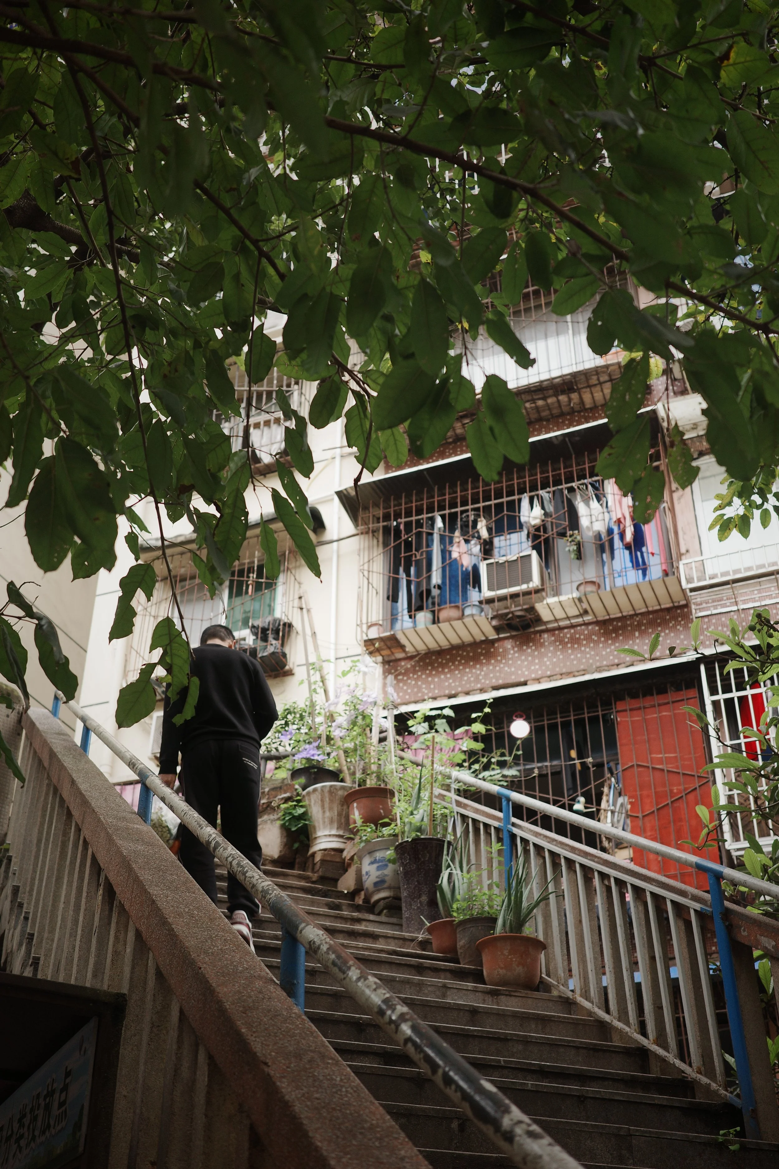 Chongqing Daily Life