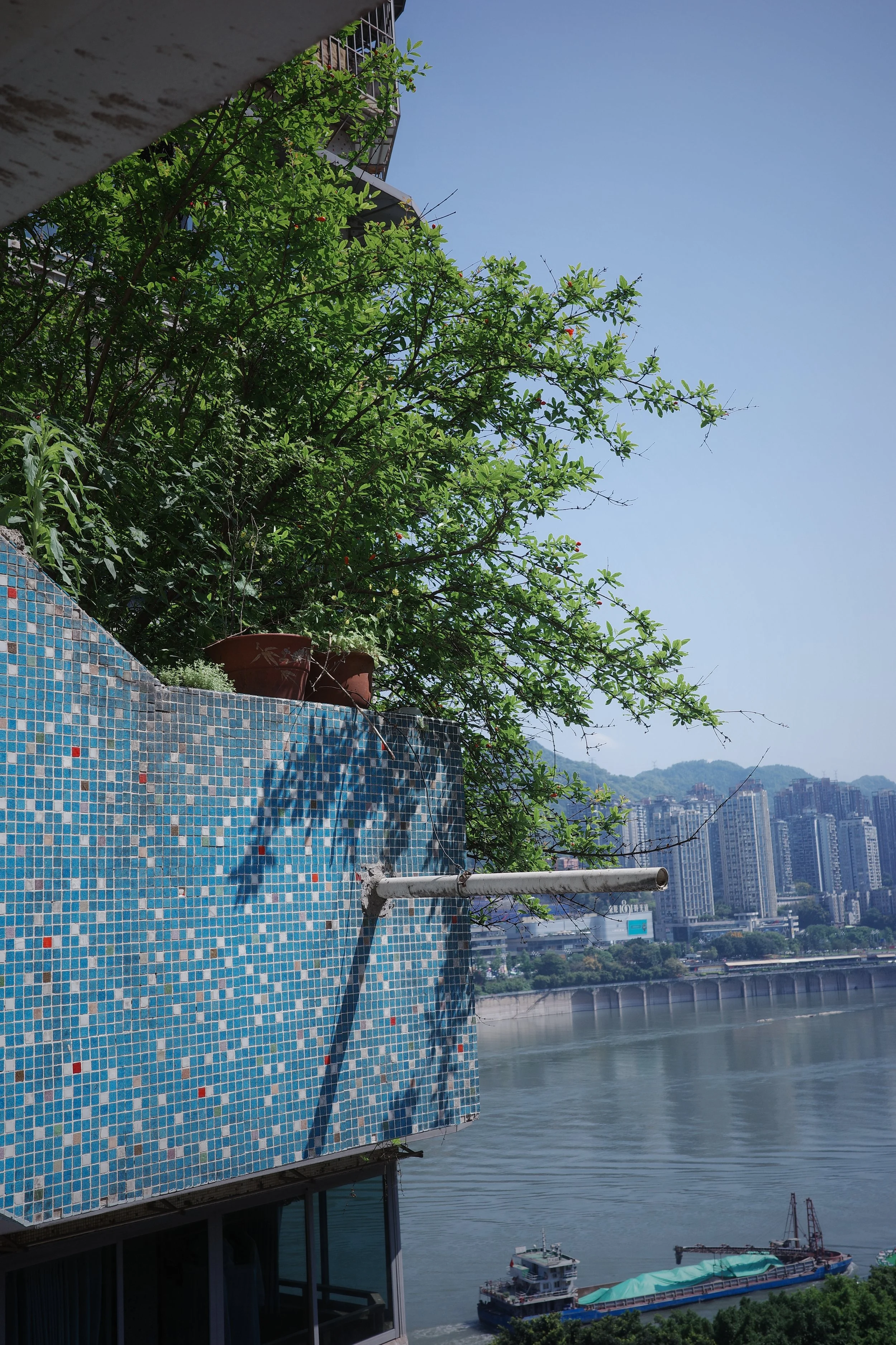 Chongqing during summer