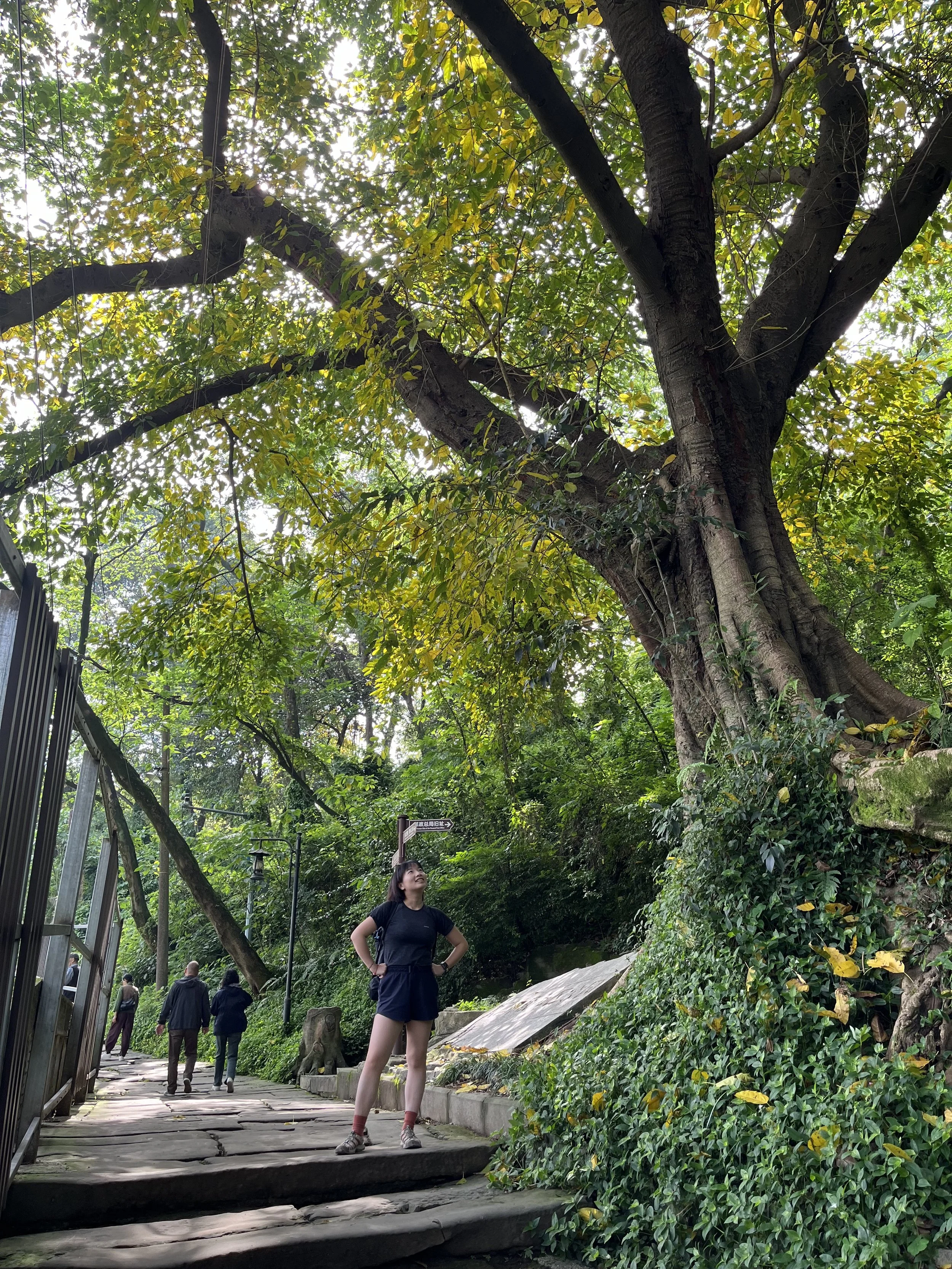Chongqing Hiking Trail