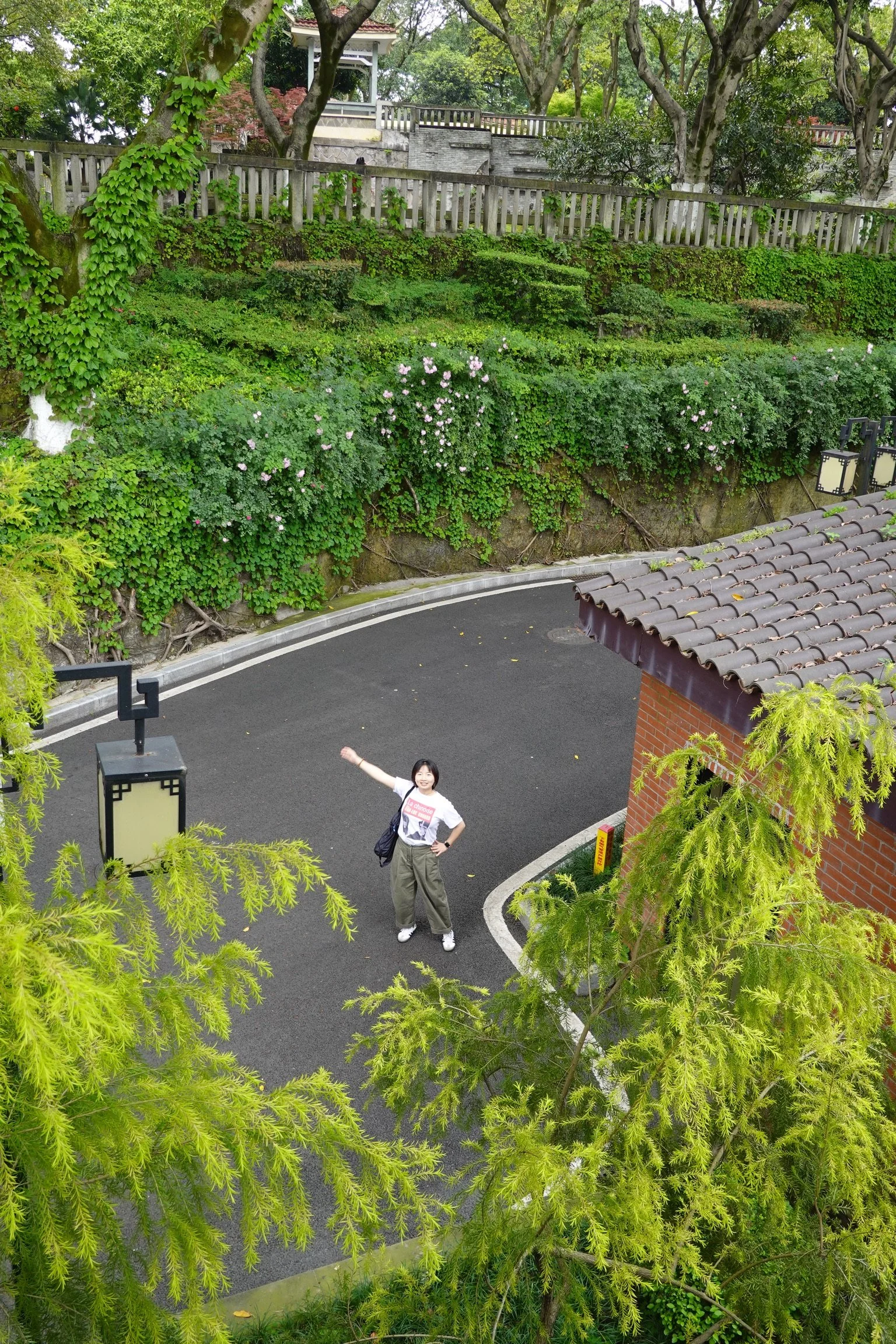 Les arbres à Chongqing