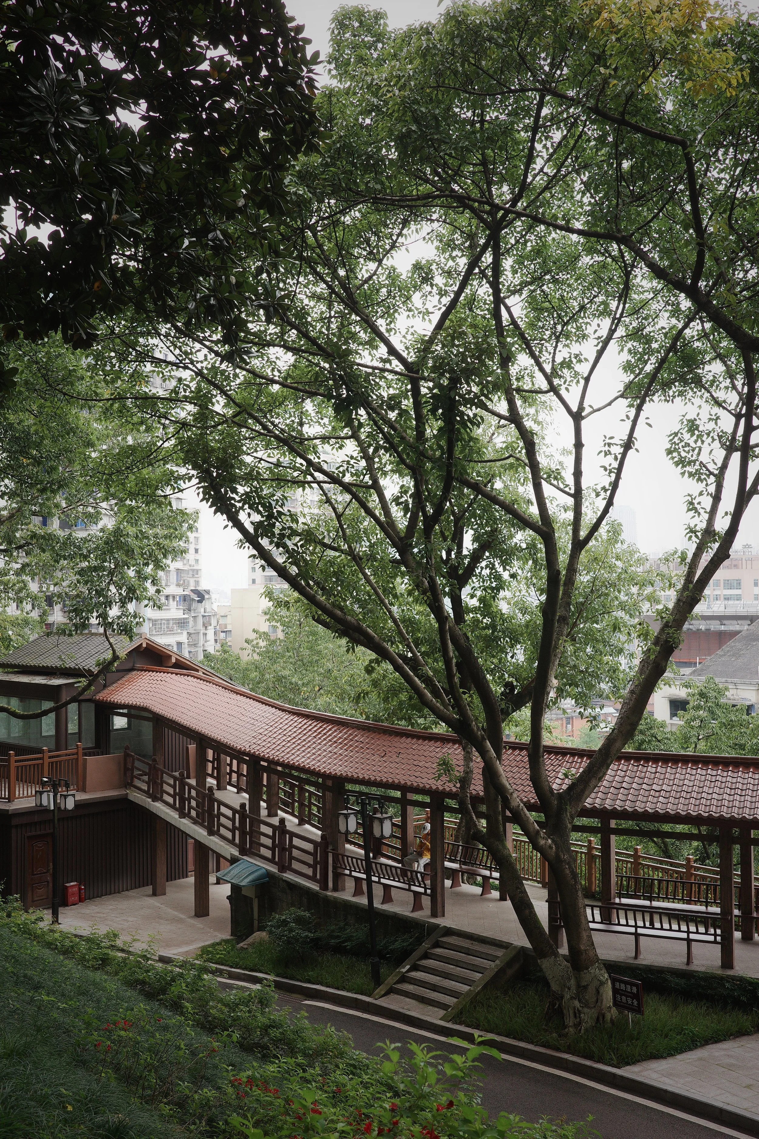 Parc public à Chongqing