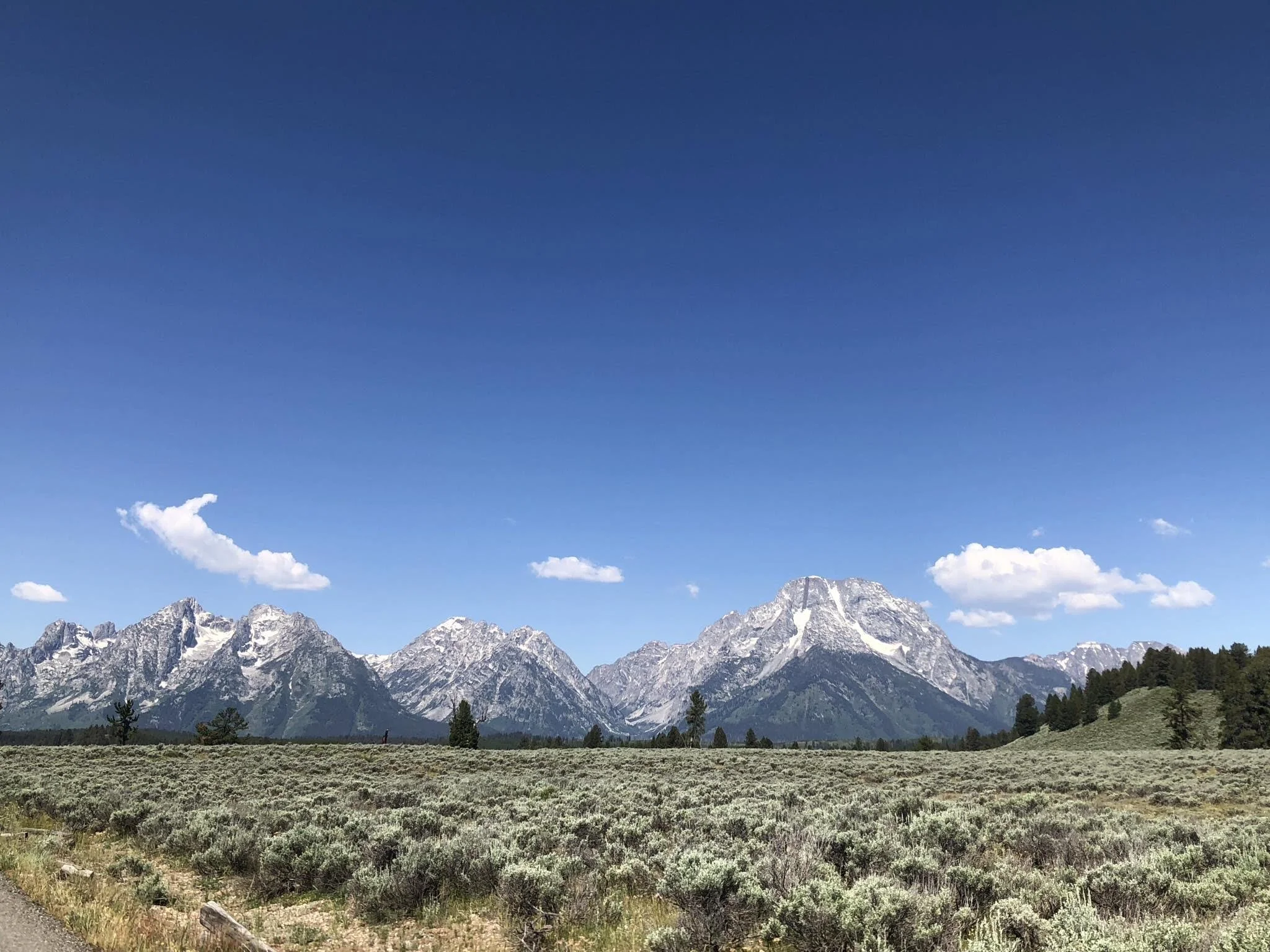 Best RV Surge Protectors (2026 Guide) – Protect Your Camper from Costly Damage