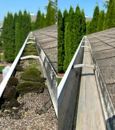 Gutter Cleaning