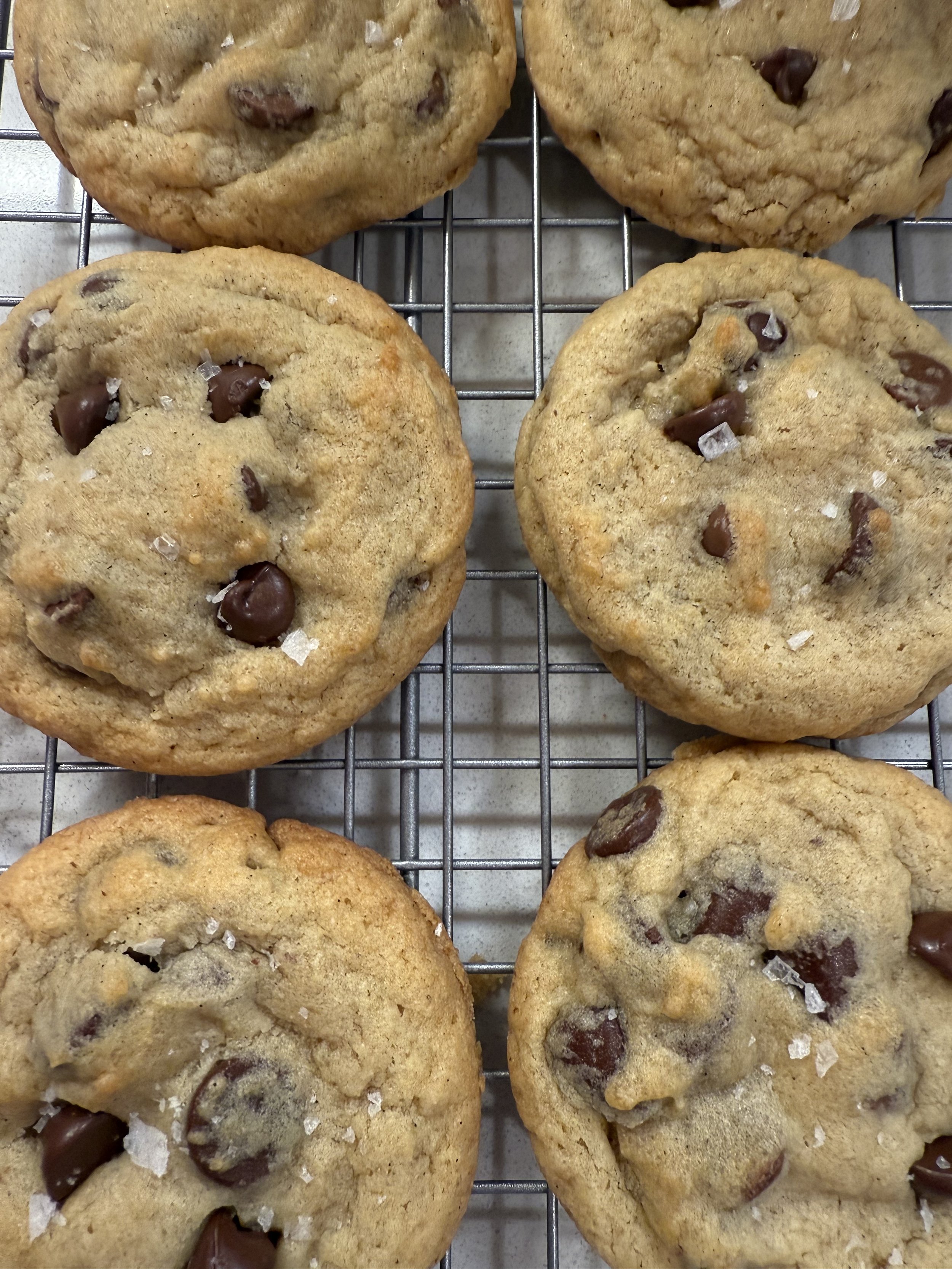Chocolate Chip Cookies - 12