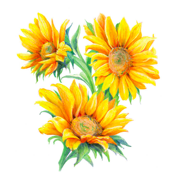 Captura de Pantalla 2026-03-26 a la(s) 12.45.20 p. m..png