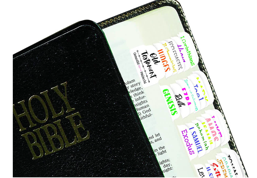 Captura de Pantalla 2026-03-29 a la(s) 8.54.45 p. m..png