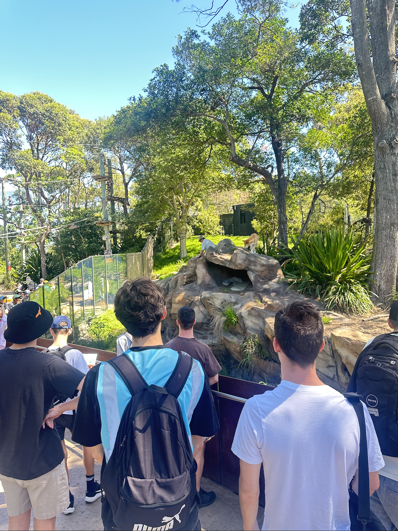 Group of people standing in line at a zoo enclosure with a rock formation and trees in the background.