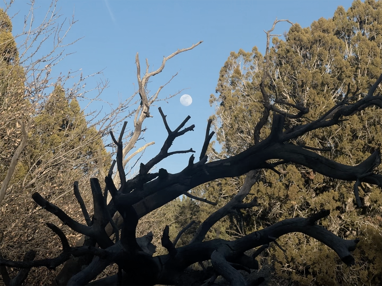 Screenshot 2026-04-01 at 11.54.07.png111.png