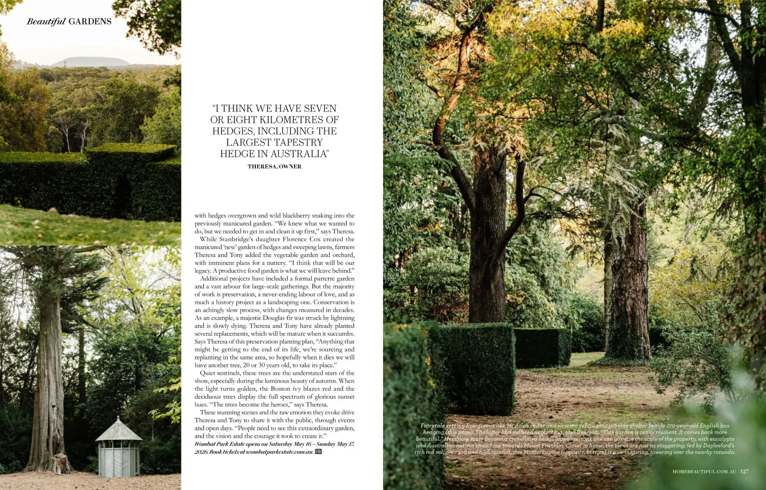 Home Beautiful spread showing mature trees at Wombat Park