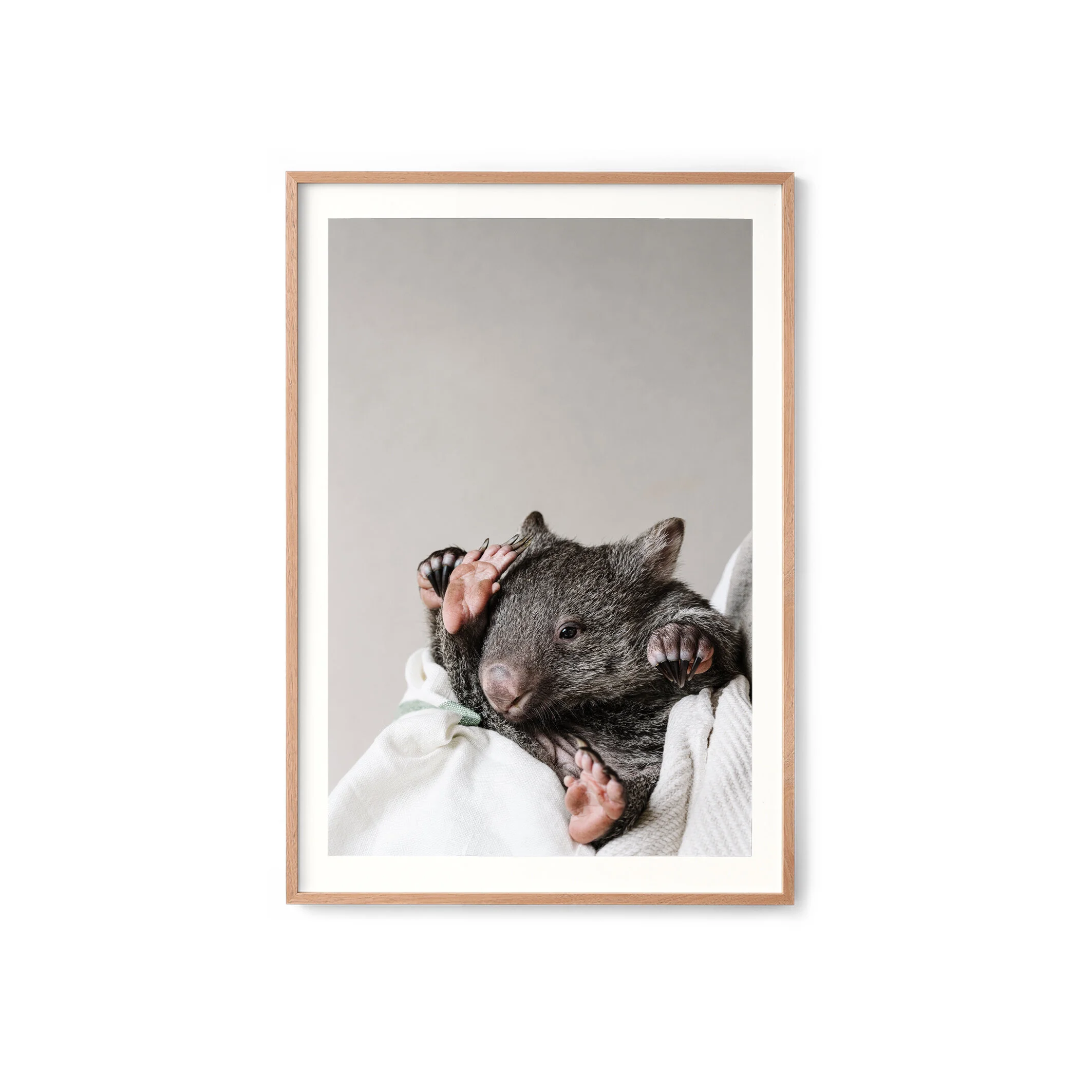 Kate the wombat print in an oak frame with a white border