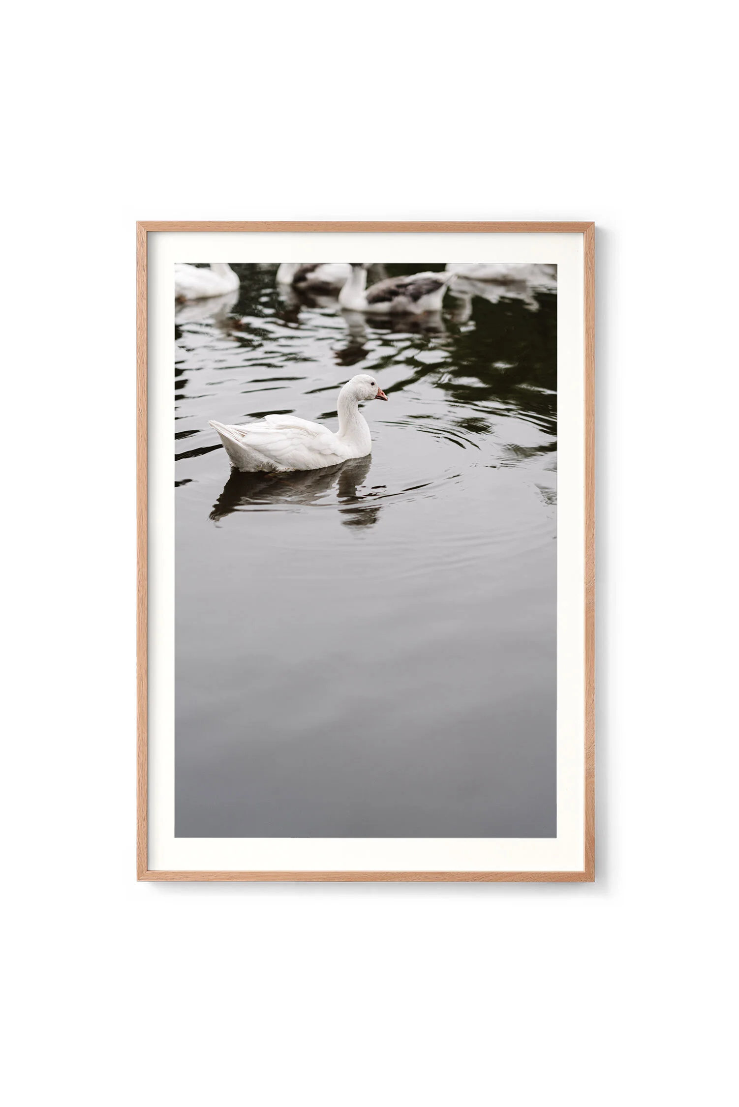 Riddells Creek Geese print in an oak frame