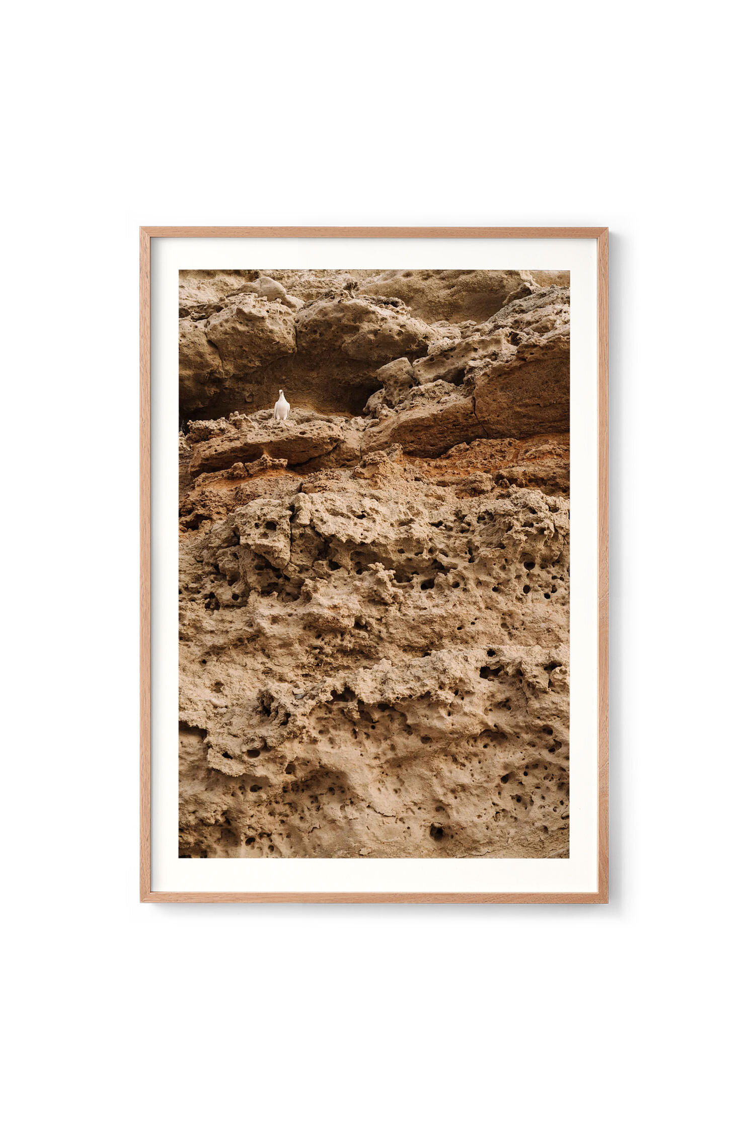Pigeons of Port Willunga print in an oak frame, portrait orientation