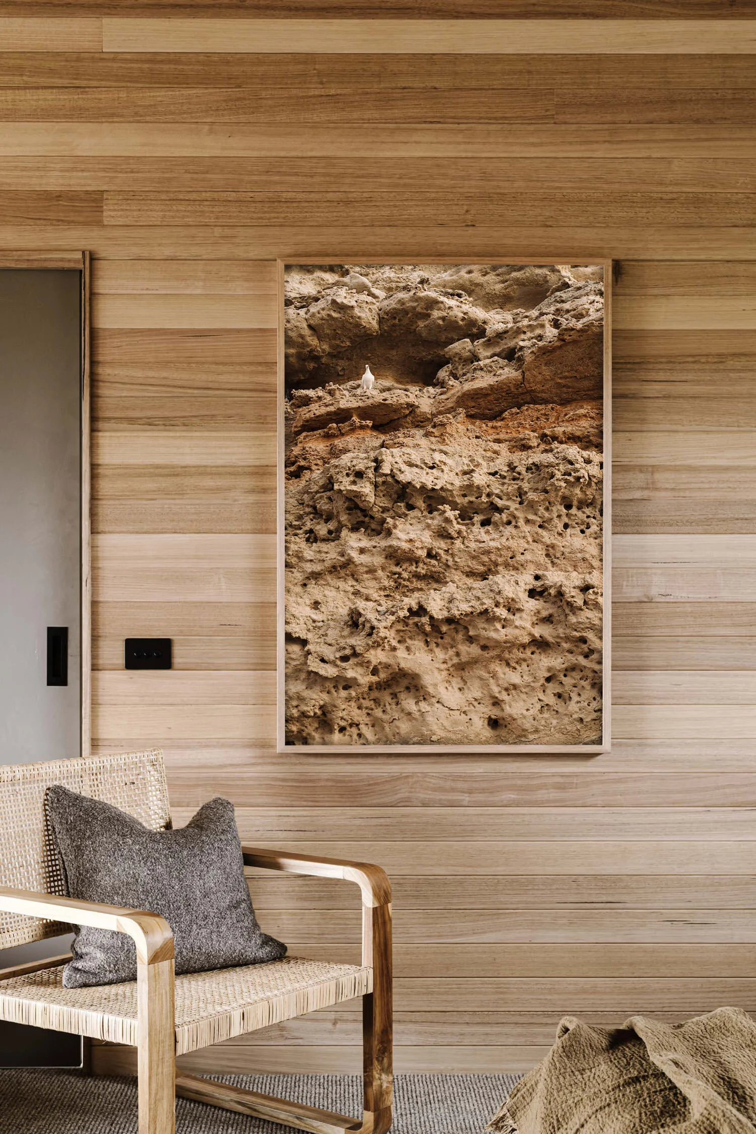 Pigeons of Port Willunga print in a timber-lined room