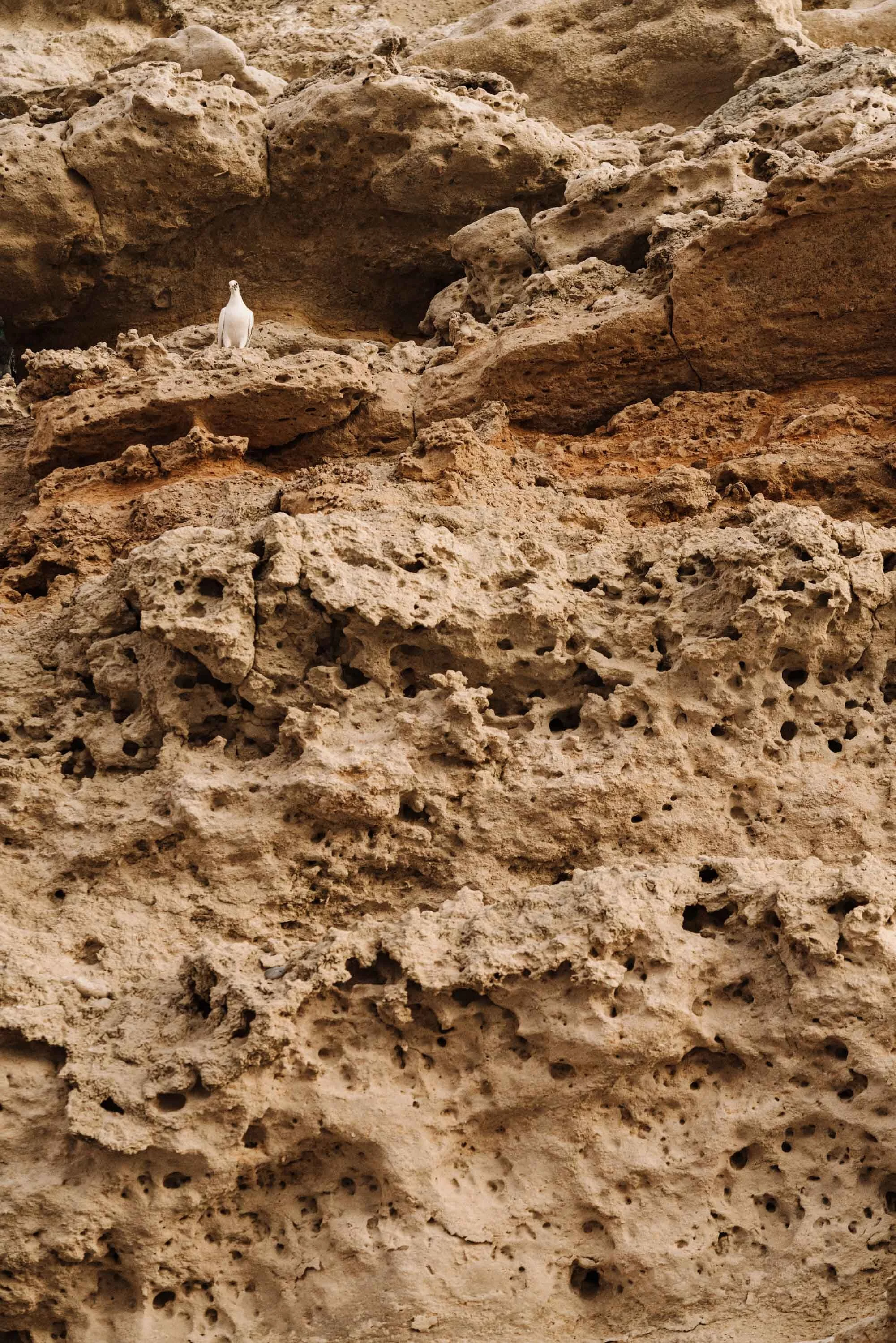 Weathered sandstone cliff at Port Willunga, fine art photograph