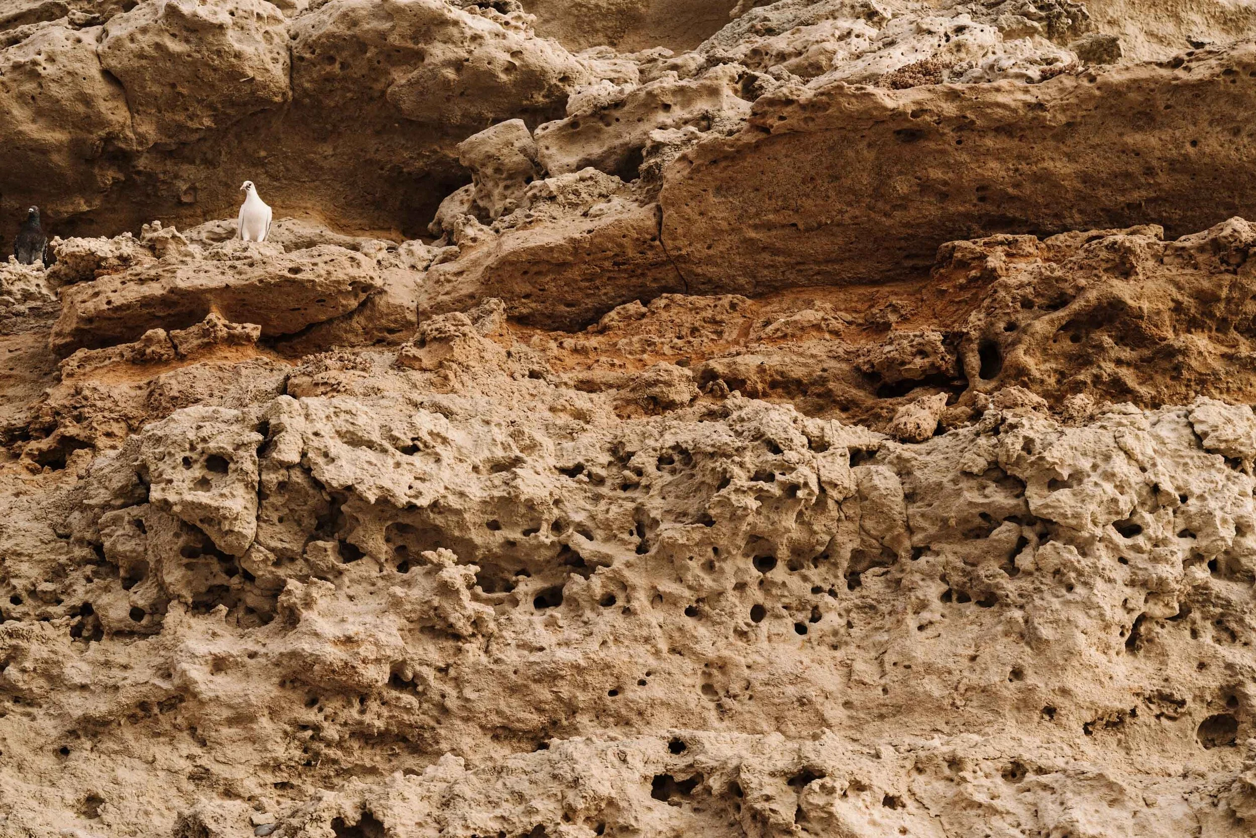 Weathered sandstone cliff at Port Willunga, landscape crop