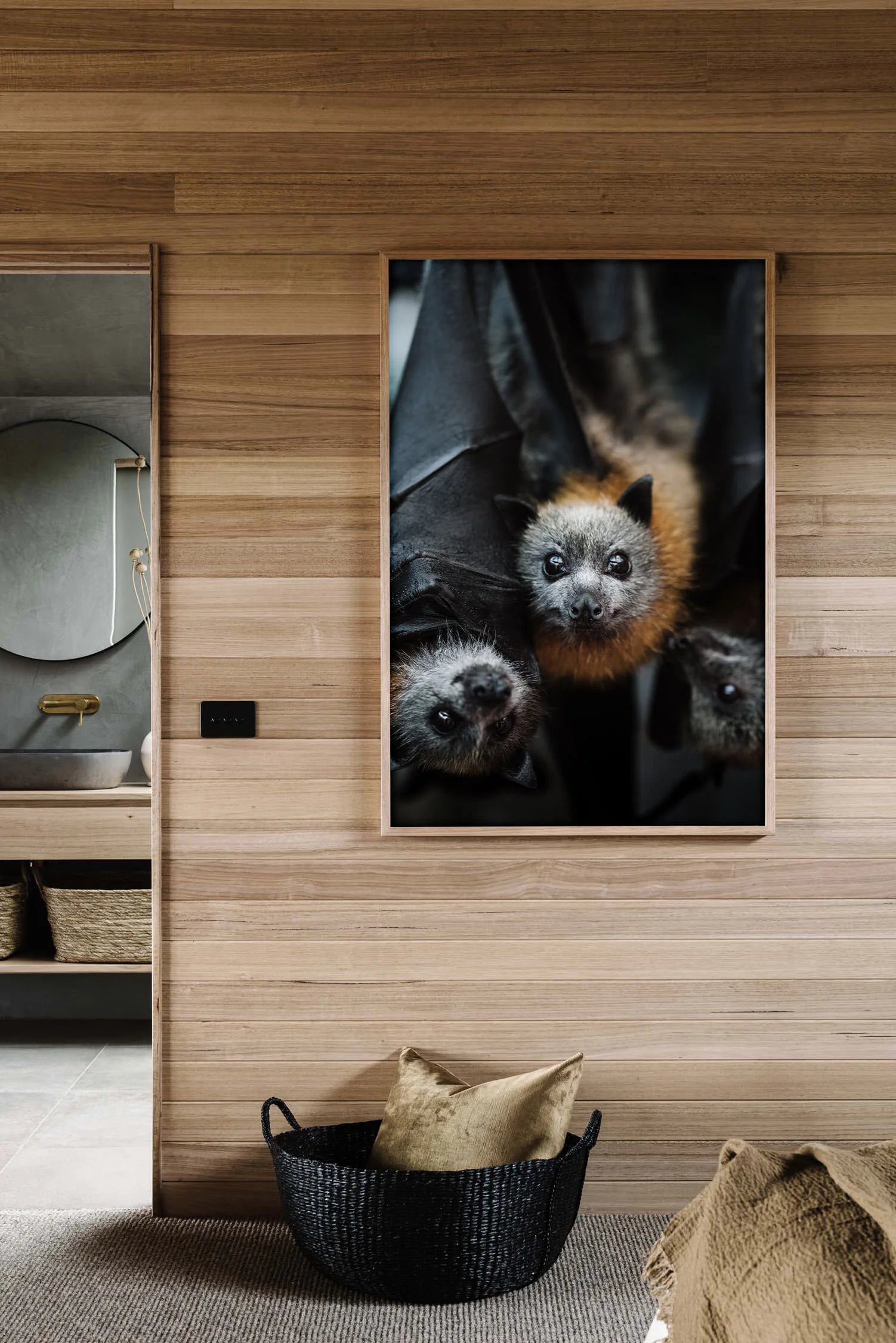 ZacDan the flying fox print in a timber-lined room