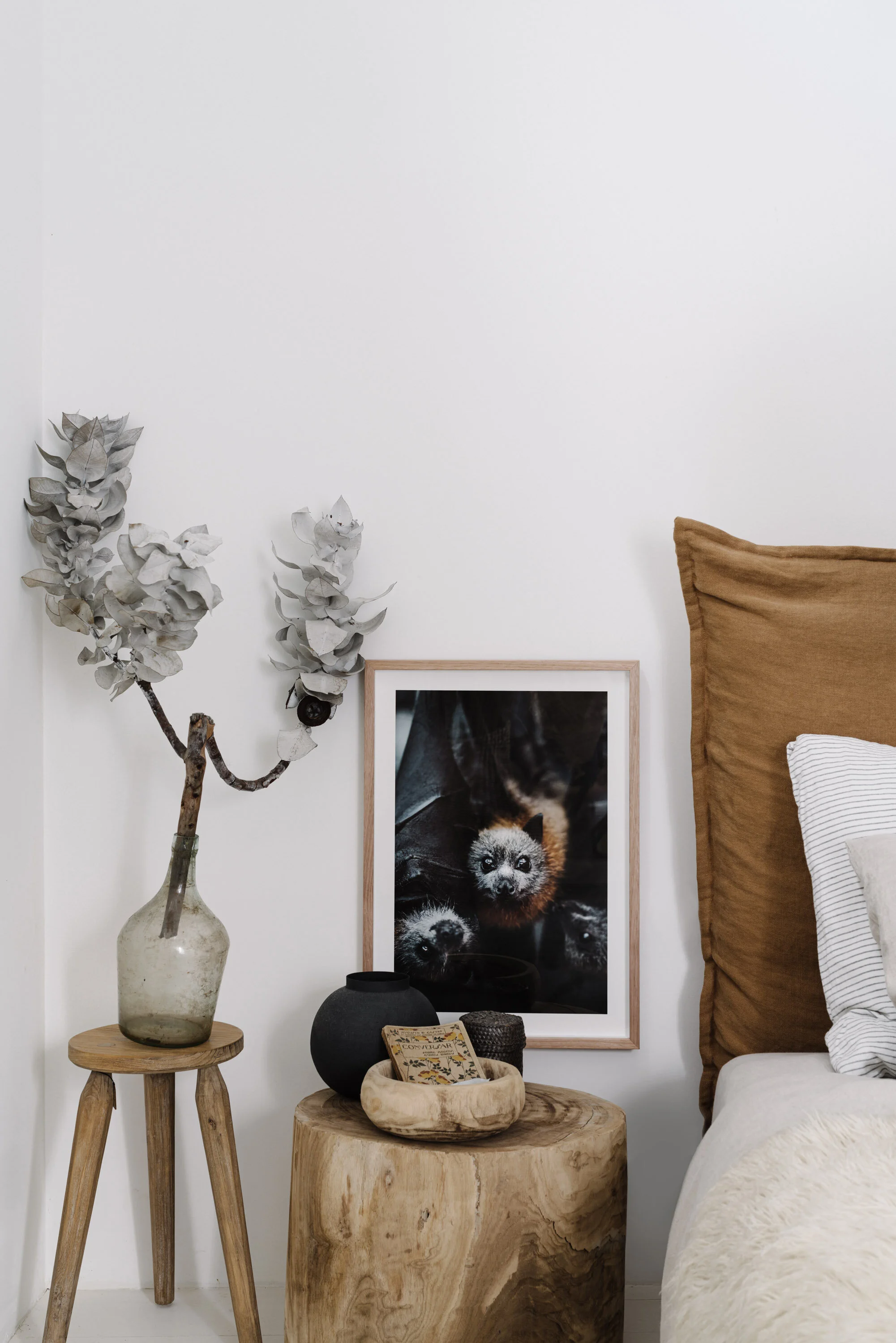 ZacDan the flying fox print on a bedside table