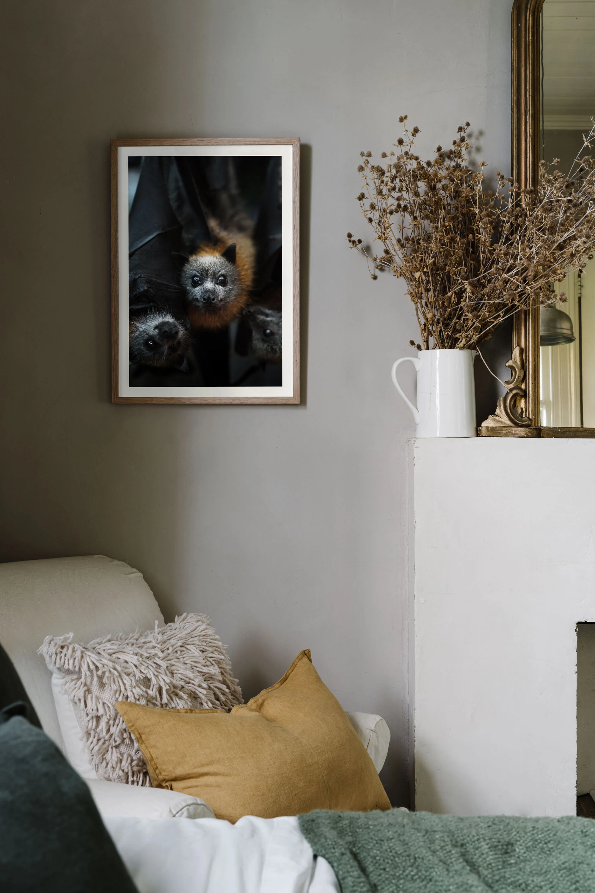 ZacDan the flying fox print above a sofa