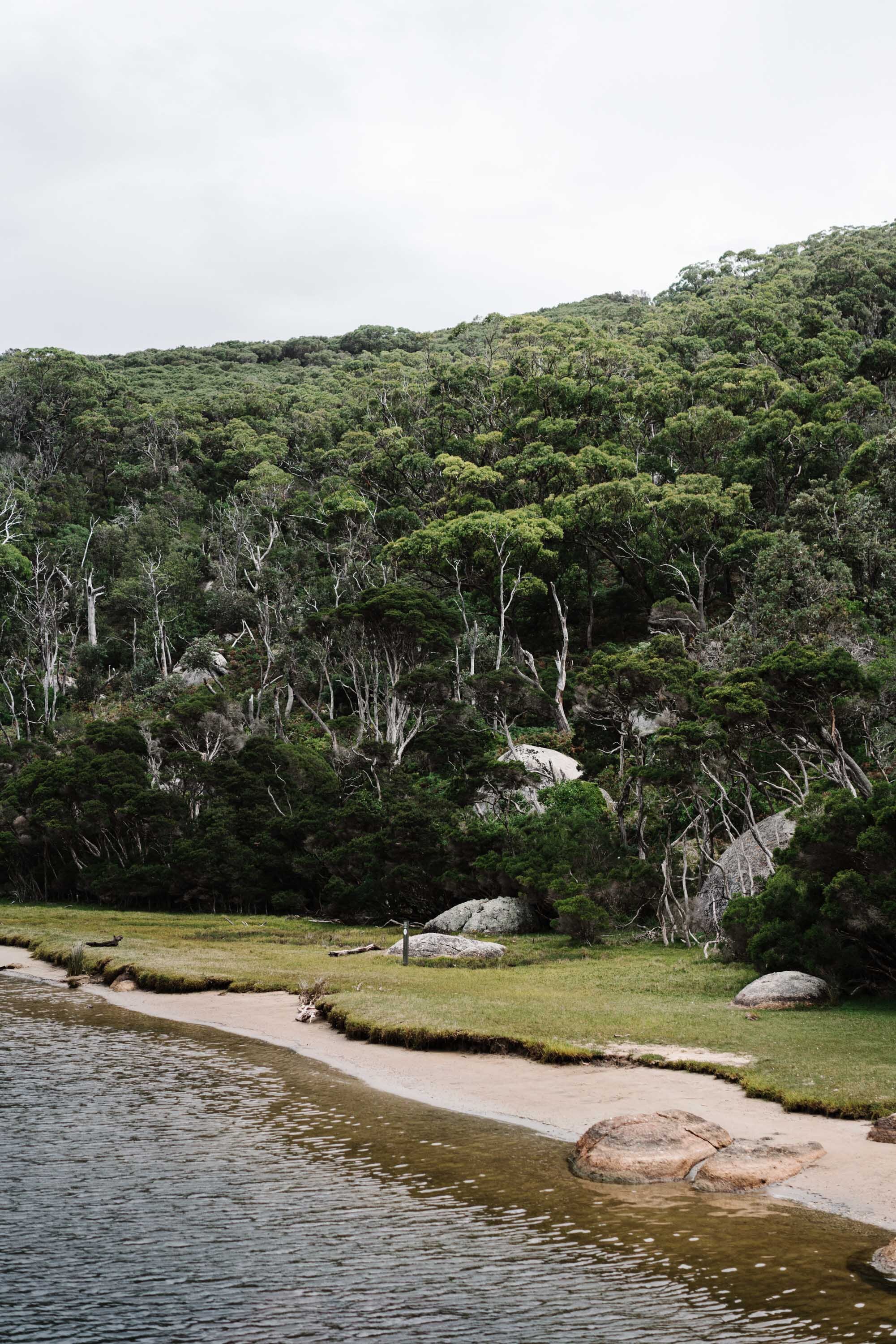 Tidal River winding past forested hills, fine art photograph