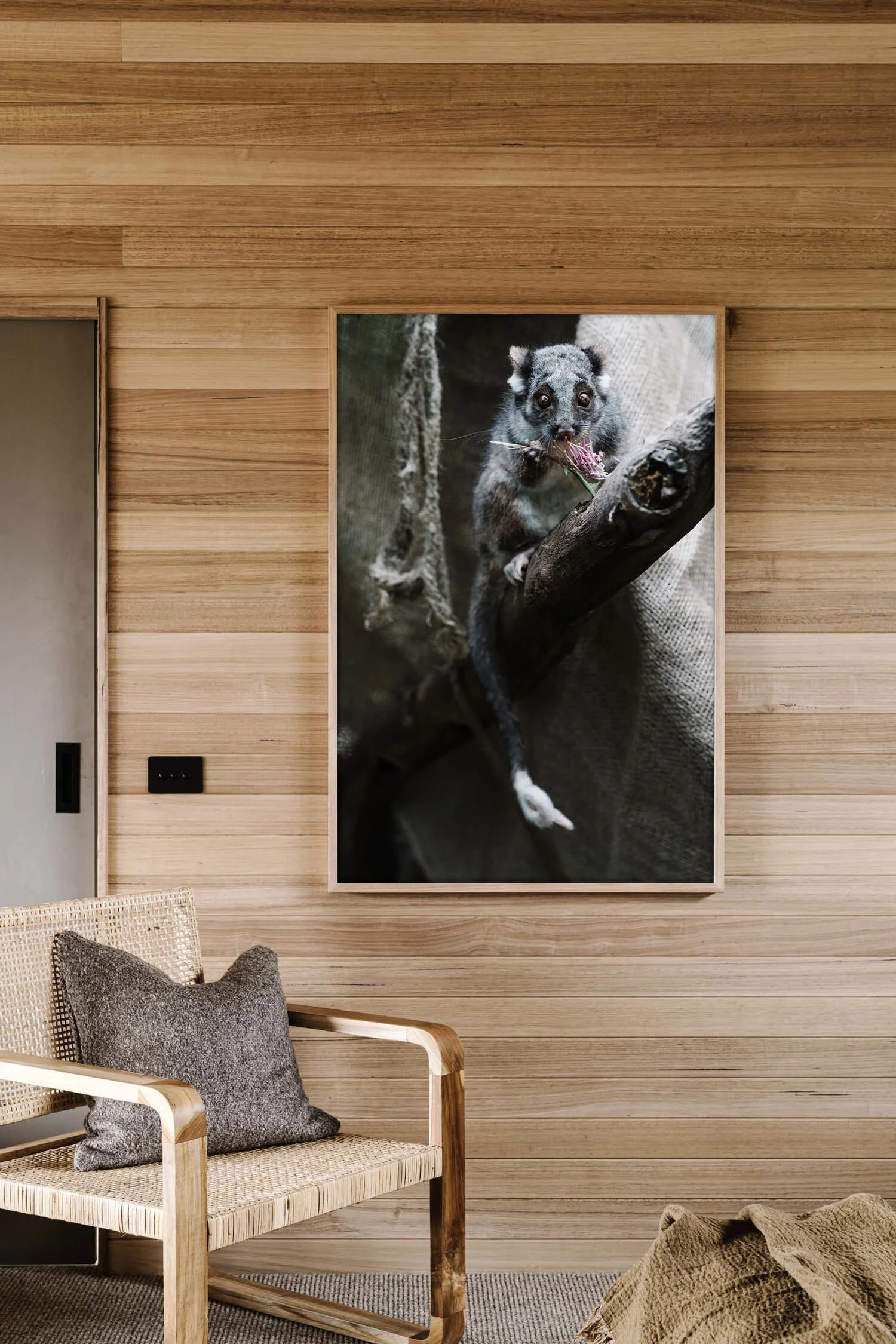 Cliffy the possum print in a timber-lined room