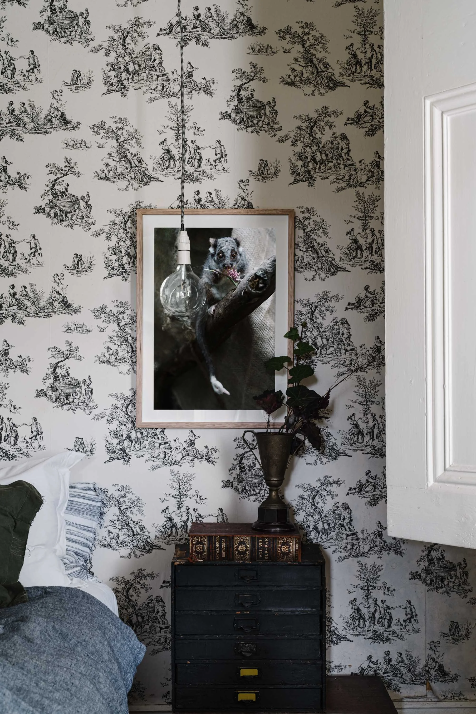 Cliffy the possum print against toile wallpaper