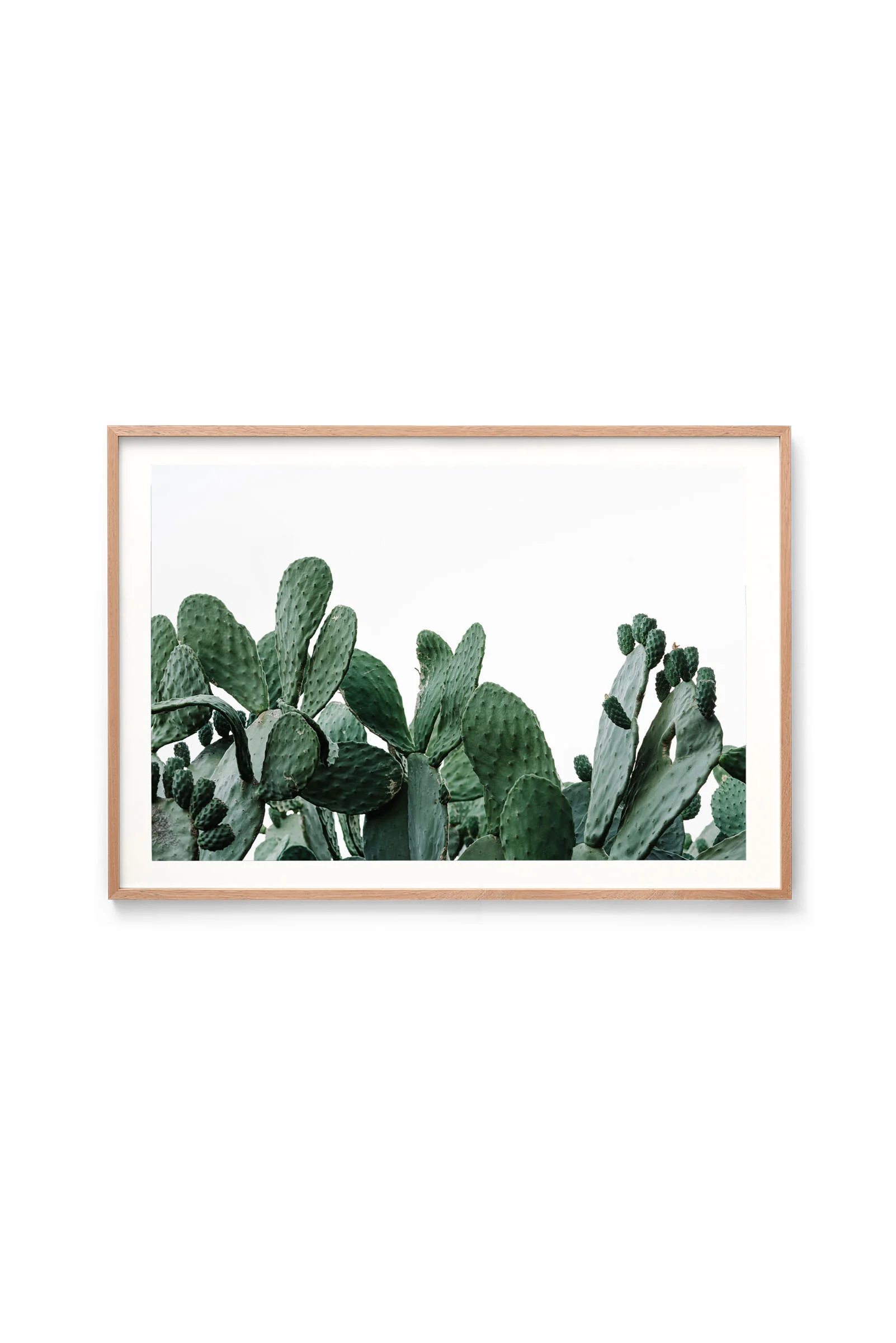 Prickles print in an oak frame, landscape orientation