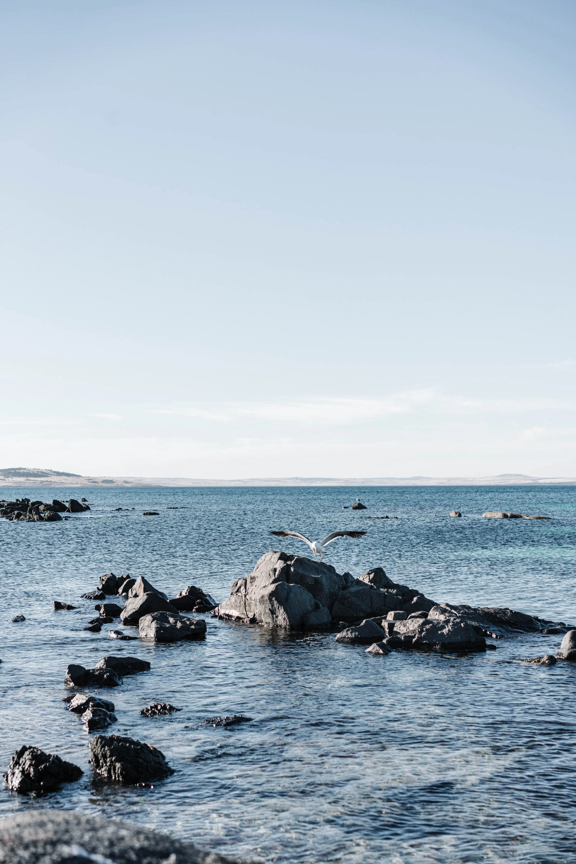 Rocks in blue water at Lincoln National Park, fine art photograph