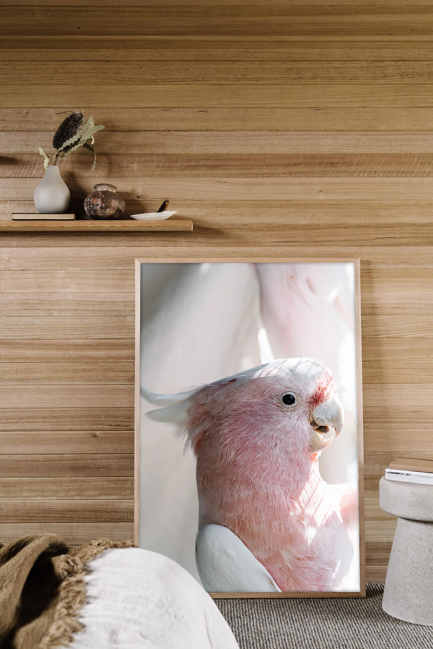 Birdy Num Nums the pink cockatoo print in a timber-lined room