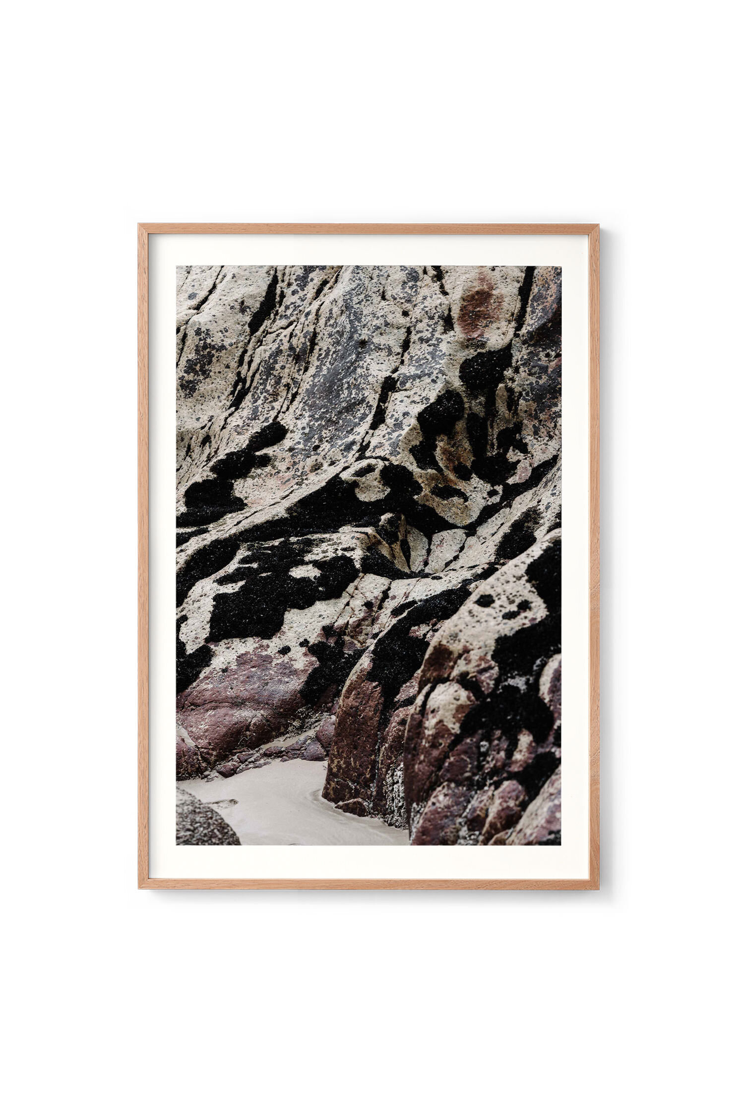 Dinosaur Toes print in an oak frame