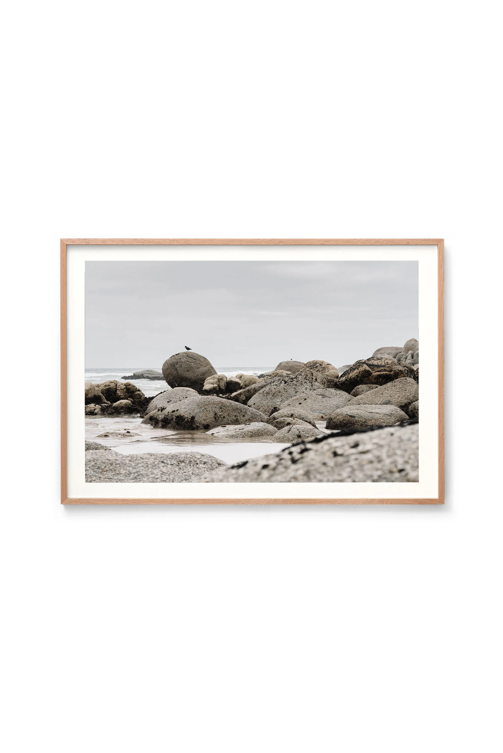 Oystercatcher, Whisky Bay print in an oak frame, landscape orientation