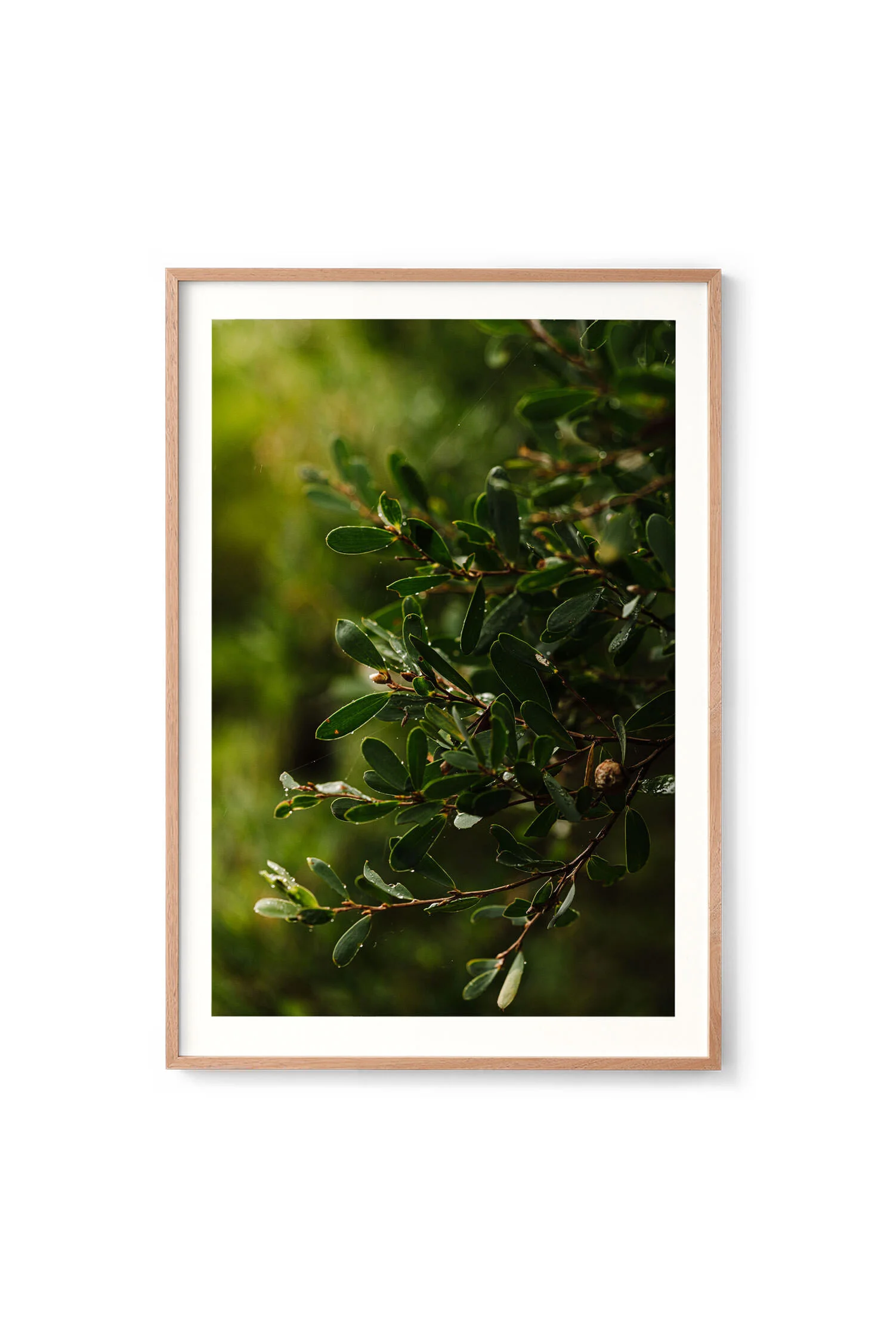 Running from the Rain print in an oak frame