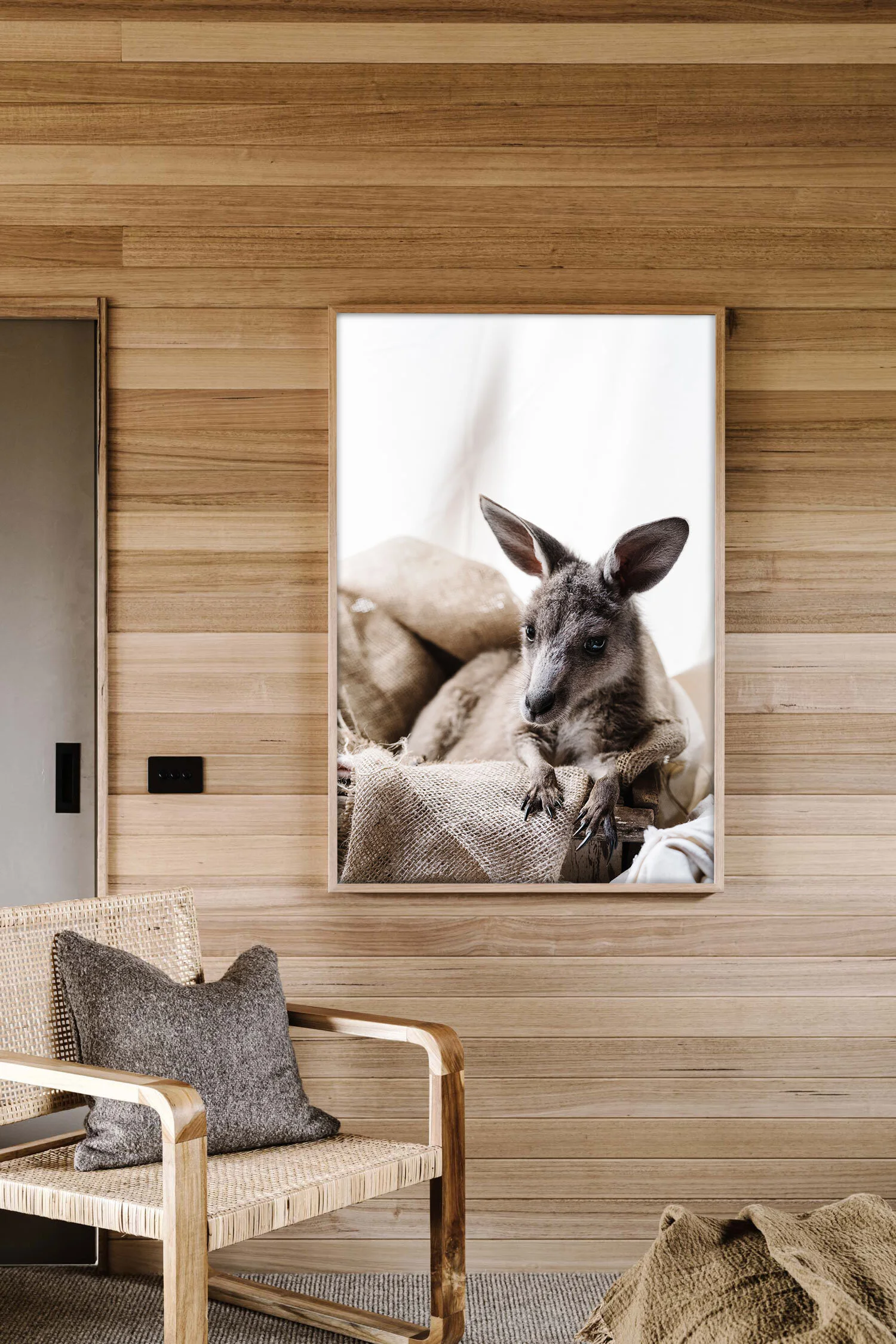 Candy the kangaroo print in a timber-lined room