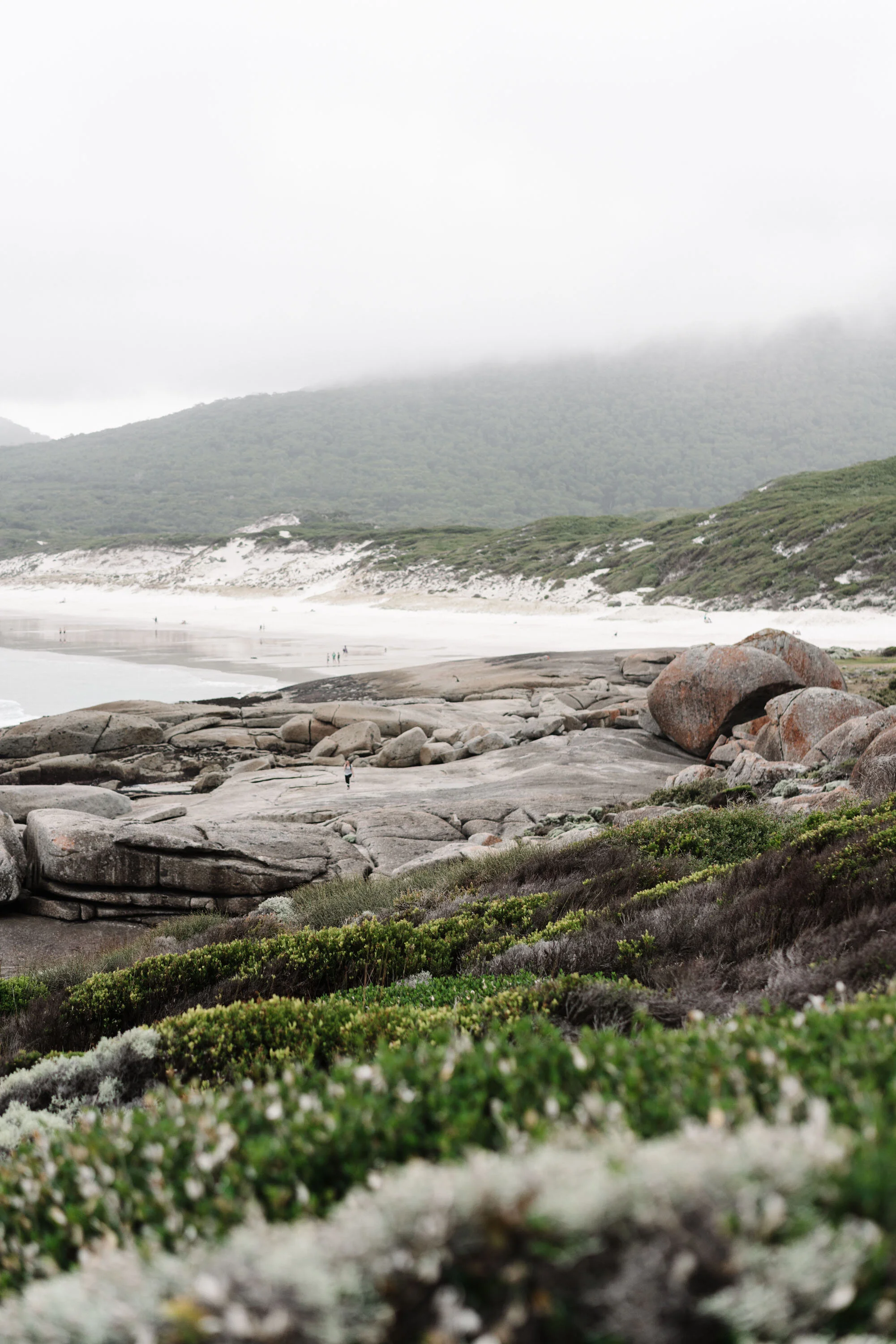 Granite boulders and coastal heath at Squeaky Beach, Wilsons Prom